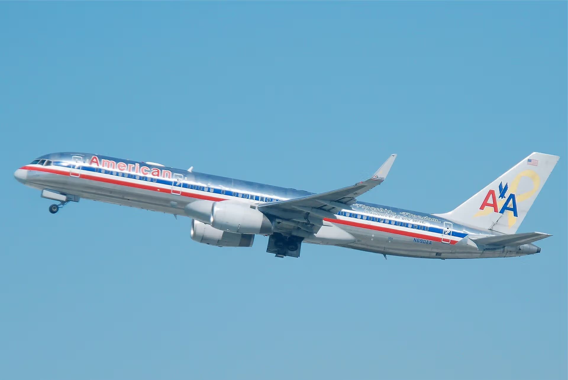 N690AA — Twin-engine aircraft