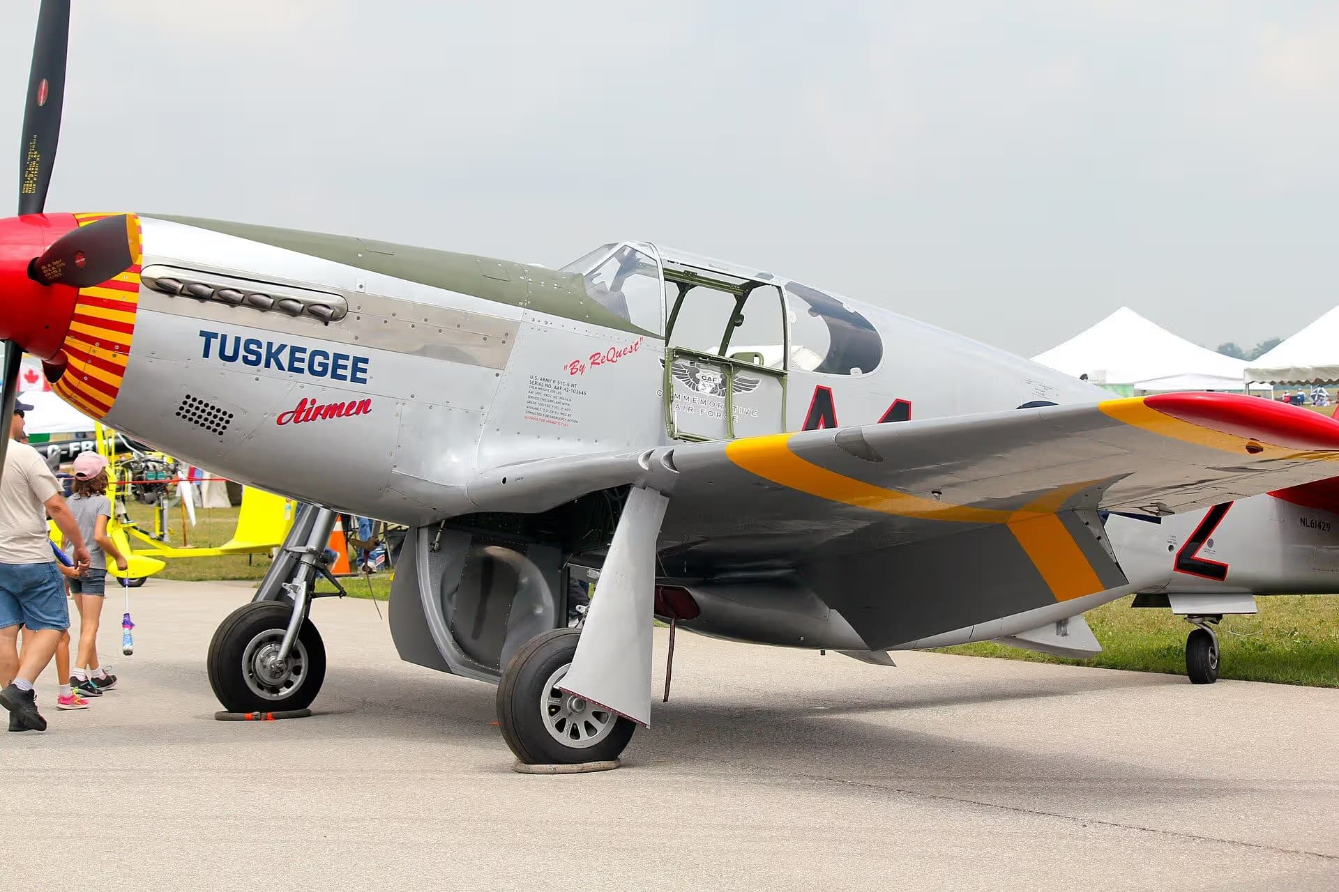 Unidentified — Warbird