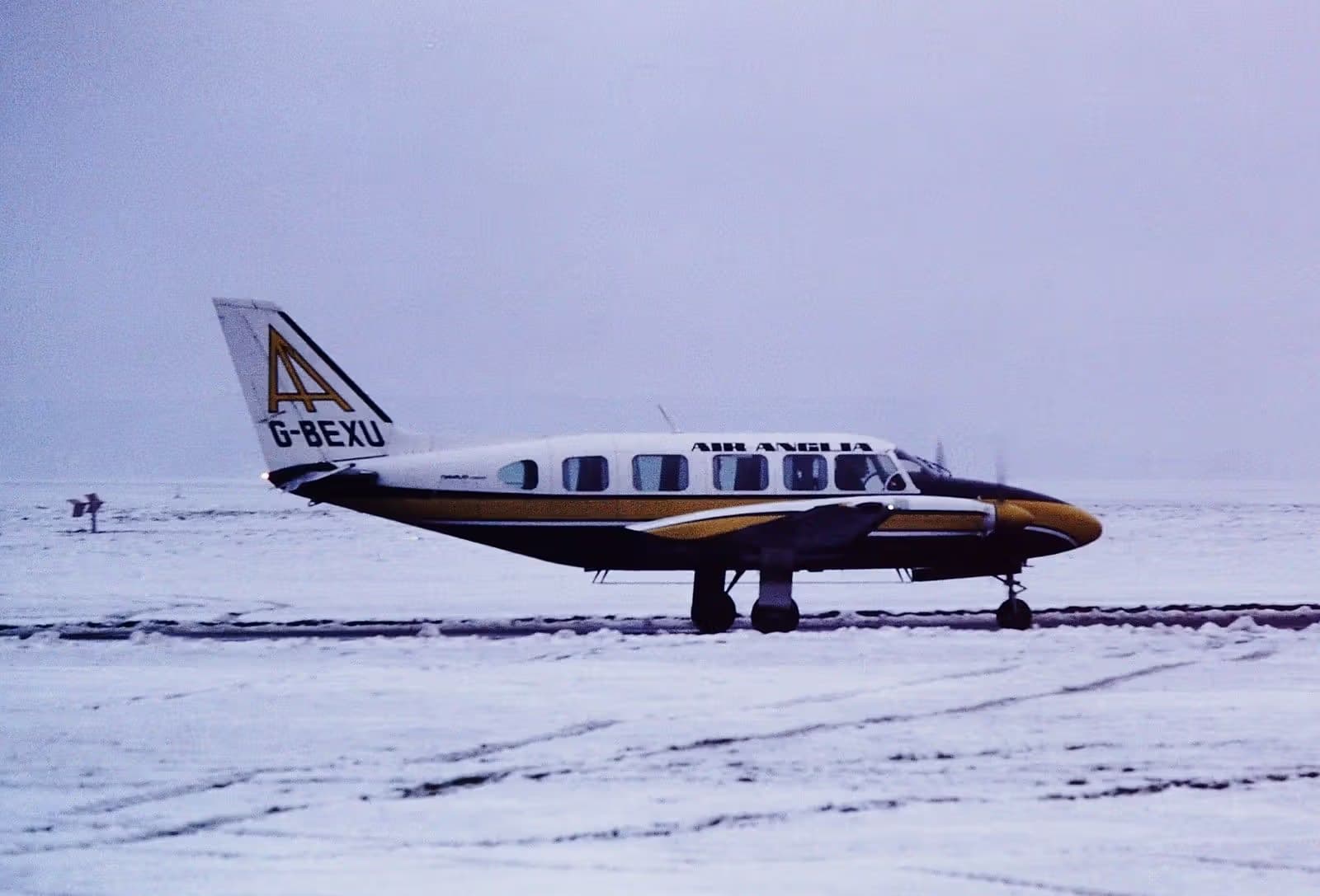G-BEXU — Twin-engine aircraft