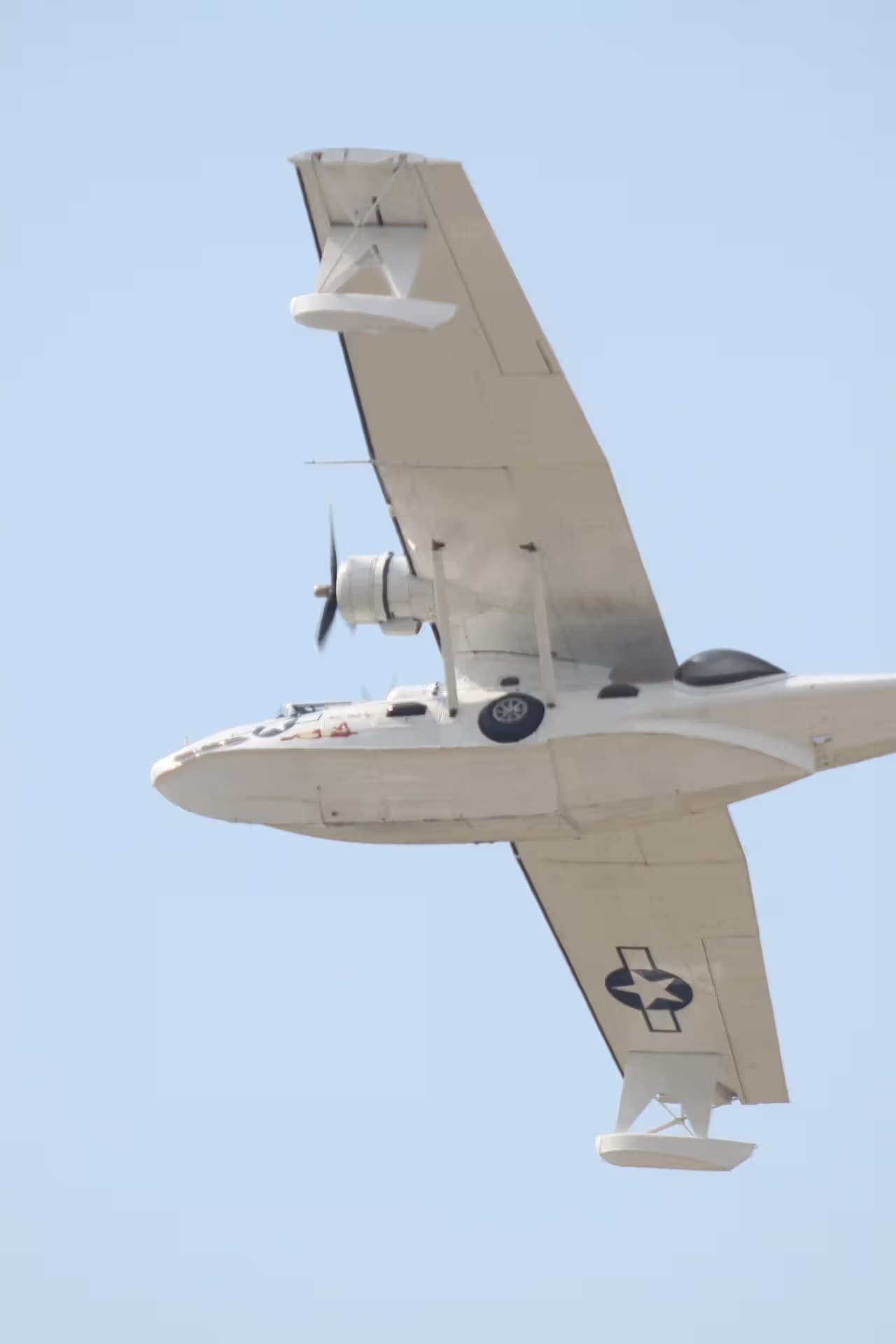 Unidentified — Warbird