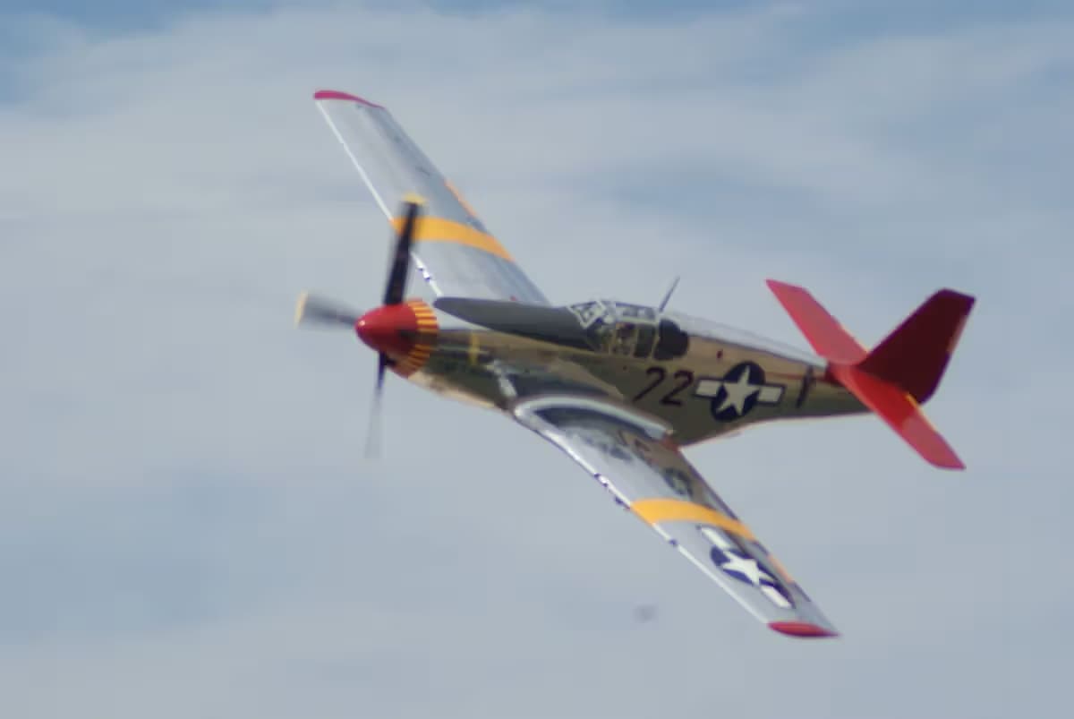 Unidentified — Warbird