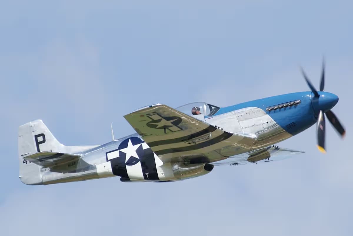 Unidentified — Warbird