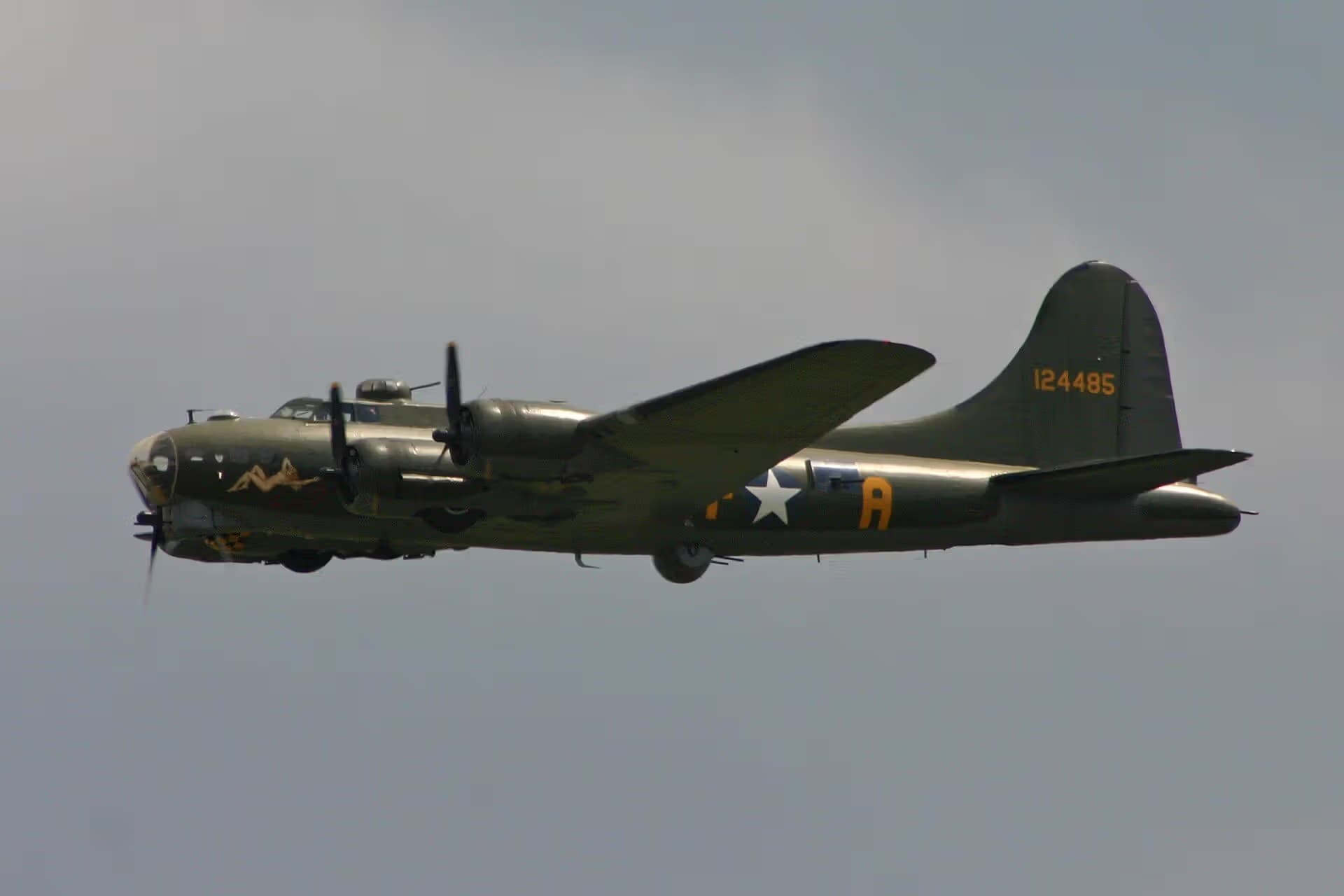 Unidentified — Warbird