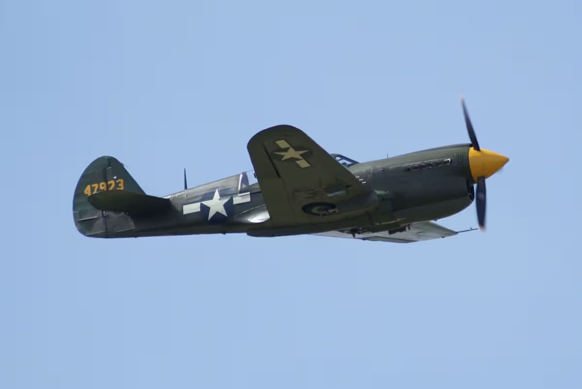 Unidentified — Warbird