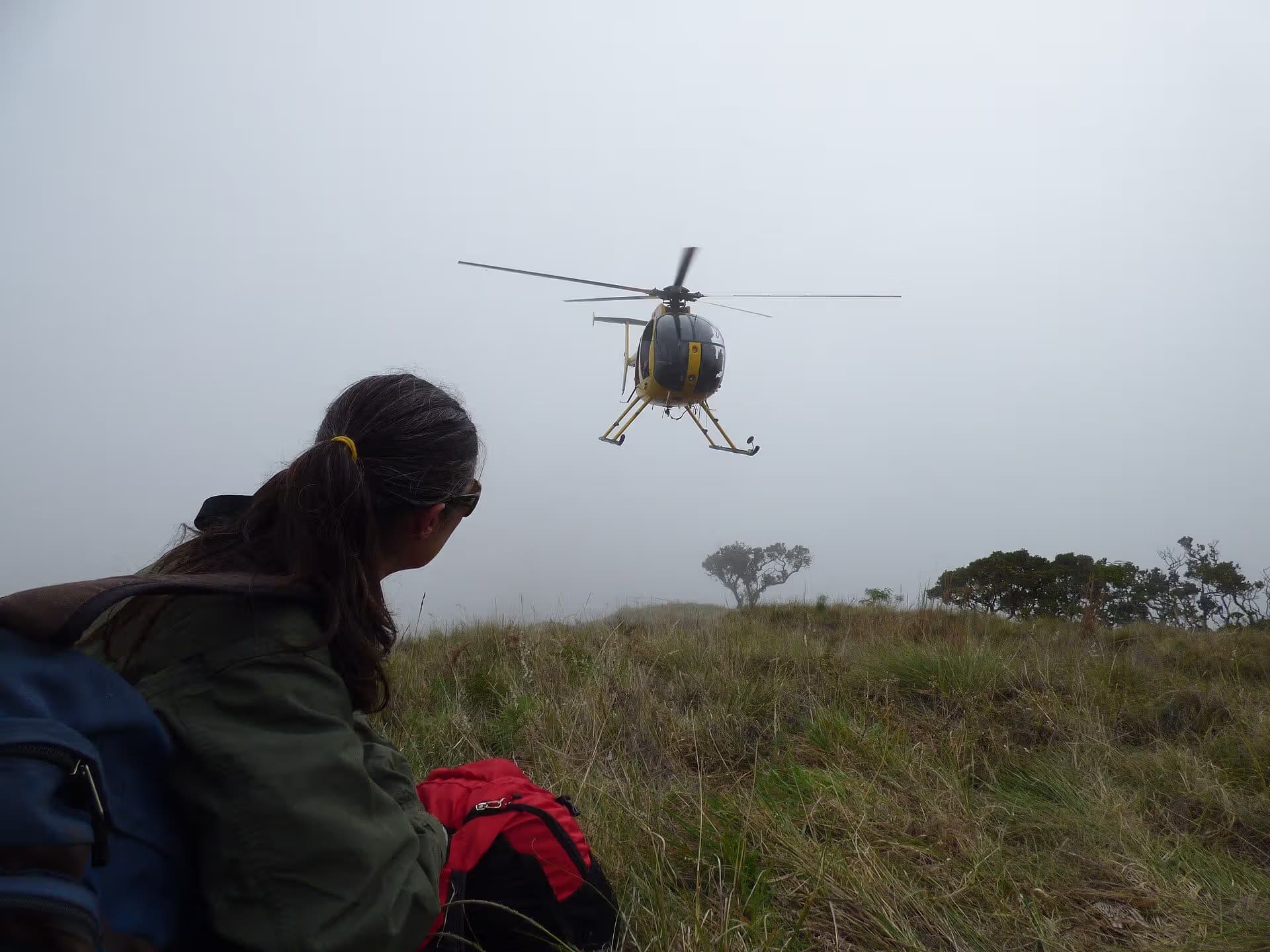 N811WA — Helicopter