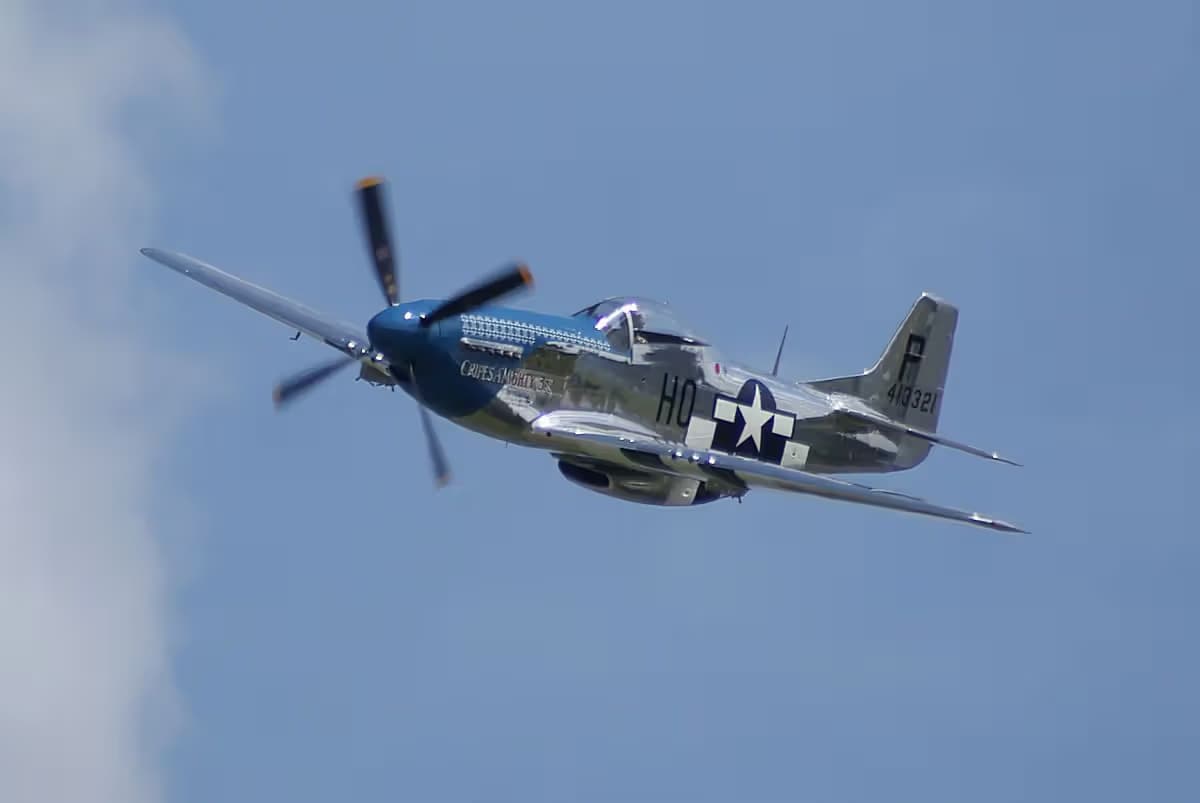 Unidentified — Warbird