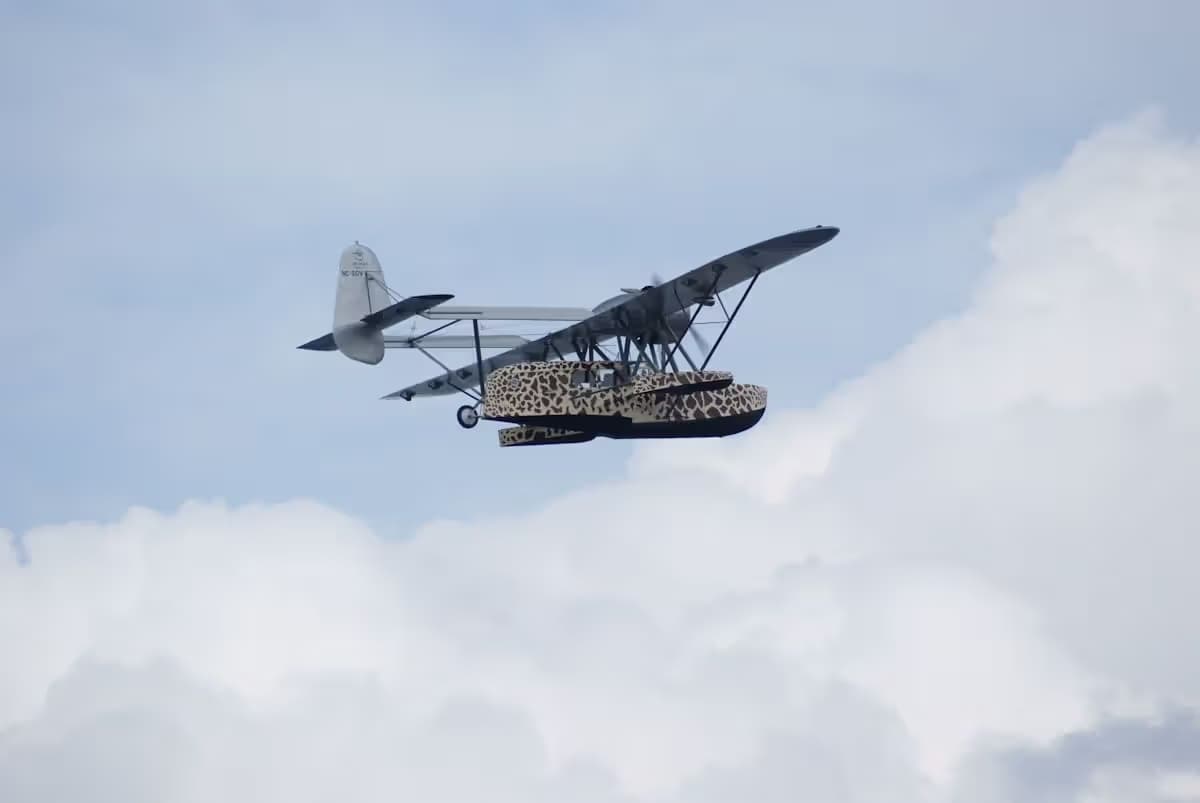 Unidentified — Single-engine aircraft