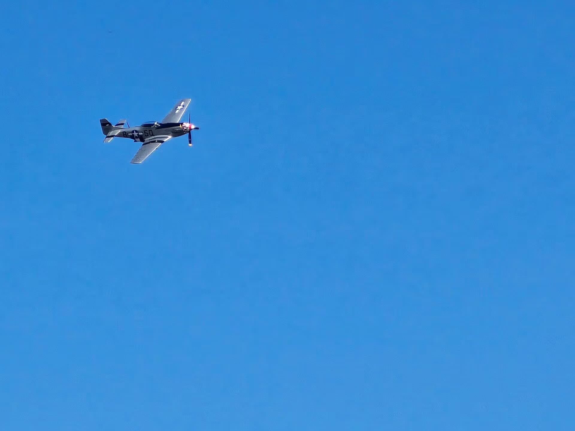 Unidentified — Warbird