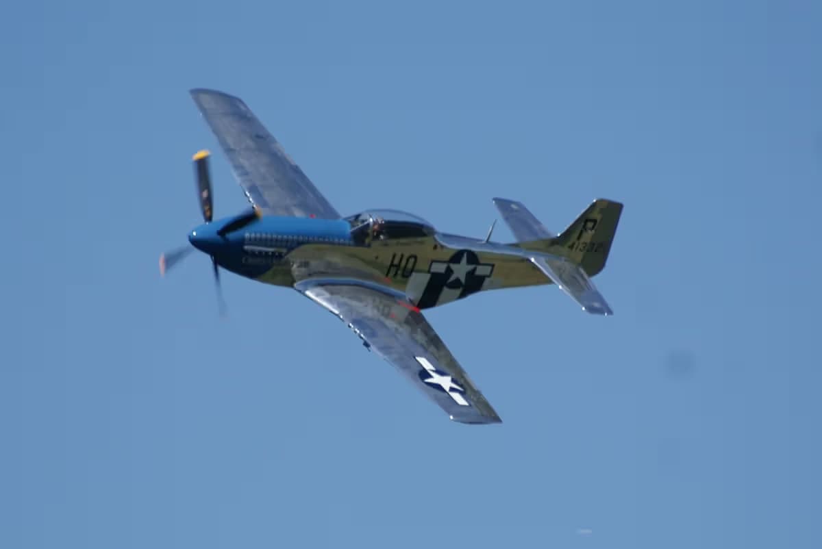 Unidentified — Warbird