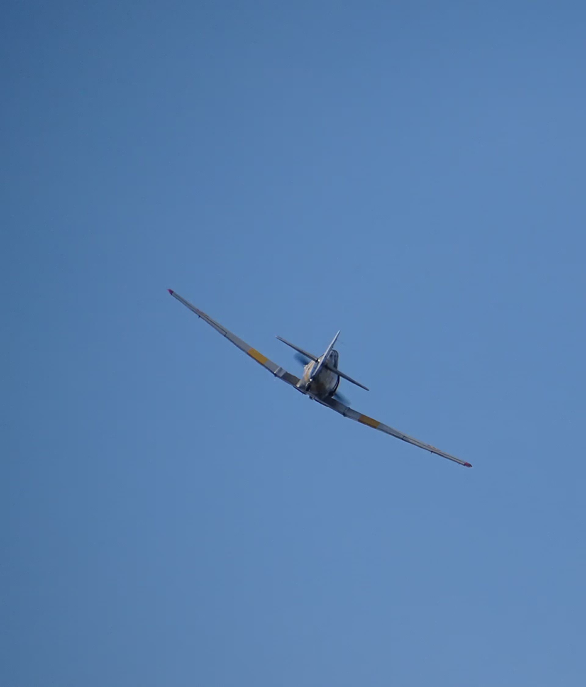 N4109C — Warbird