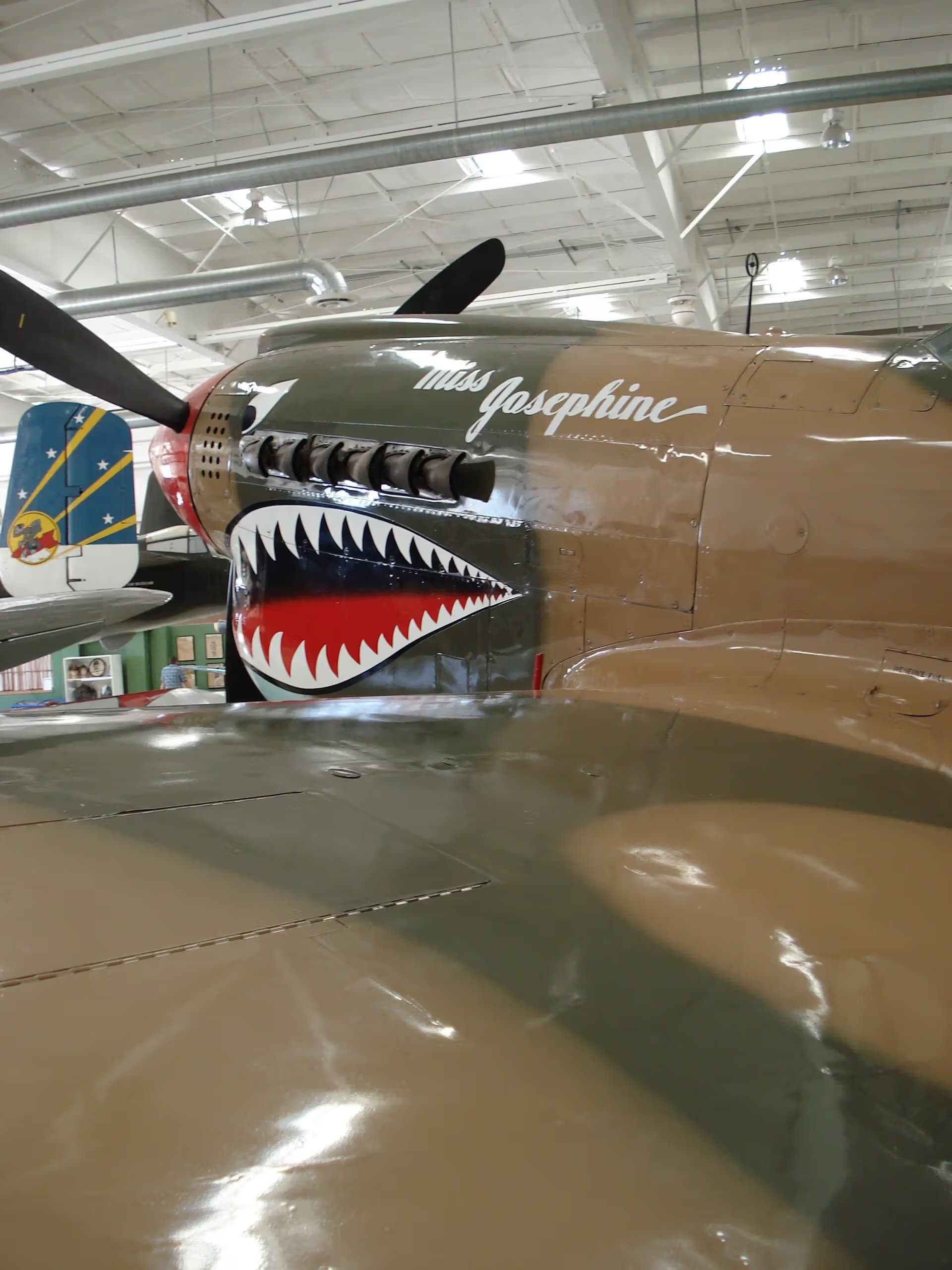 Unidentified — Single-engine aircraft