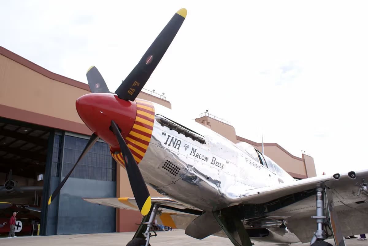 Unidentified — Warbird