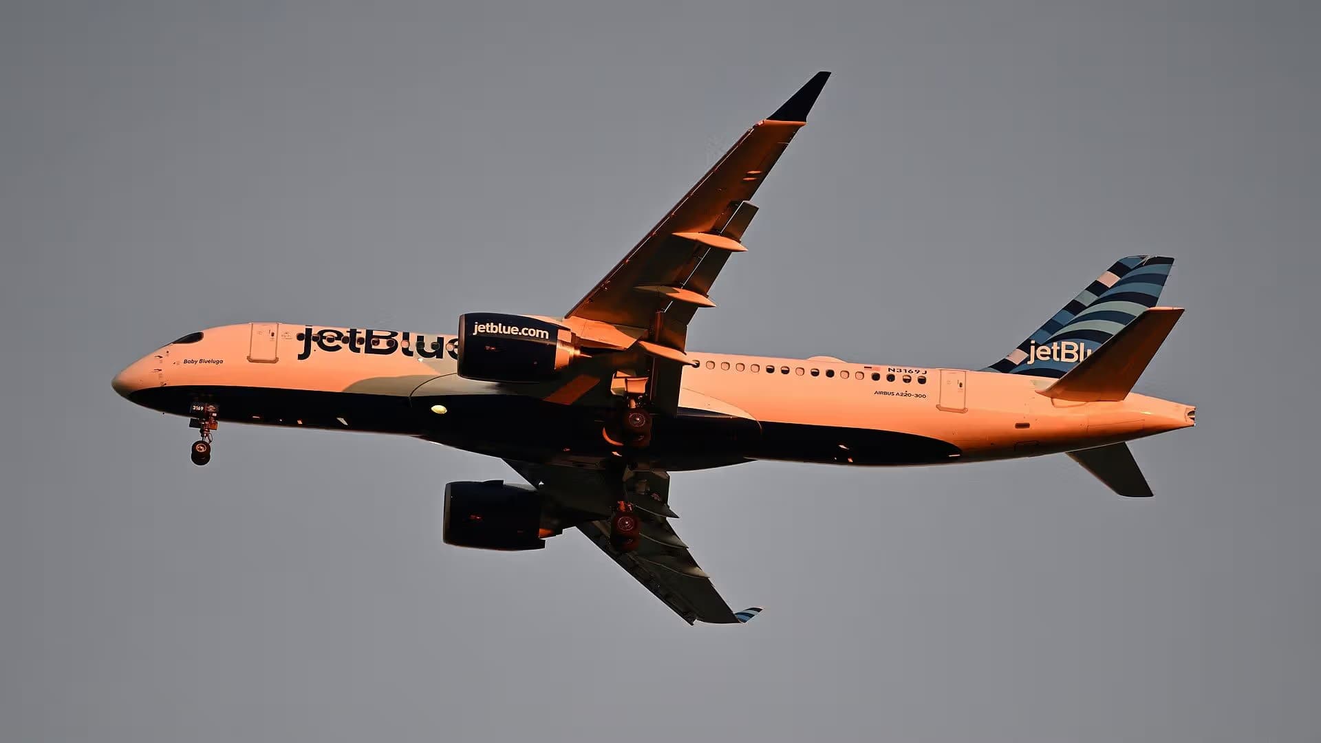 N3169J — Airbus