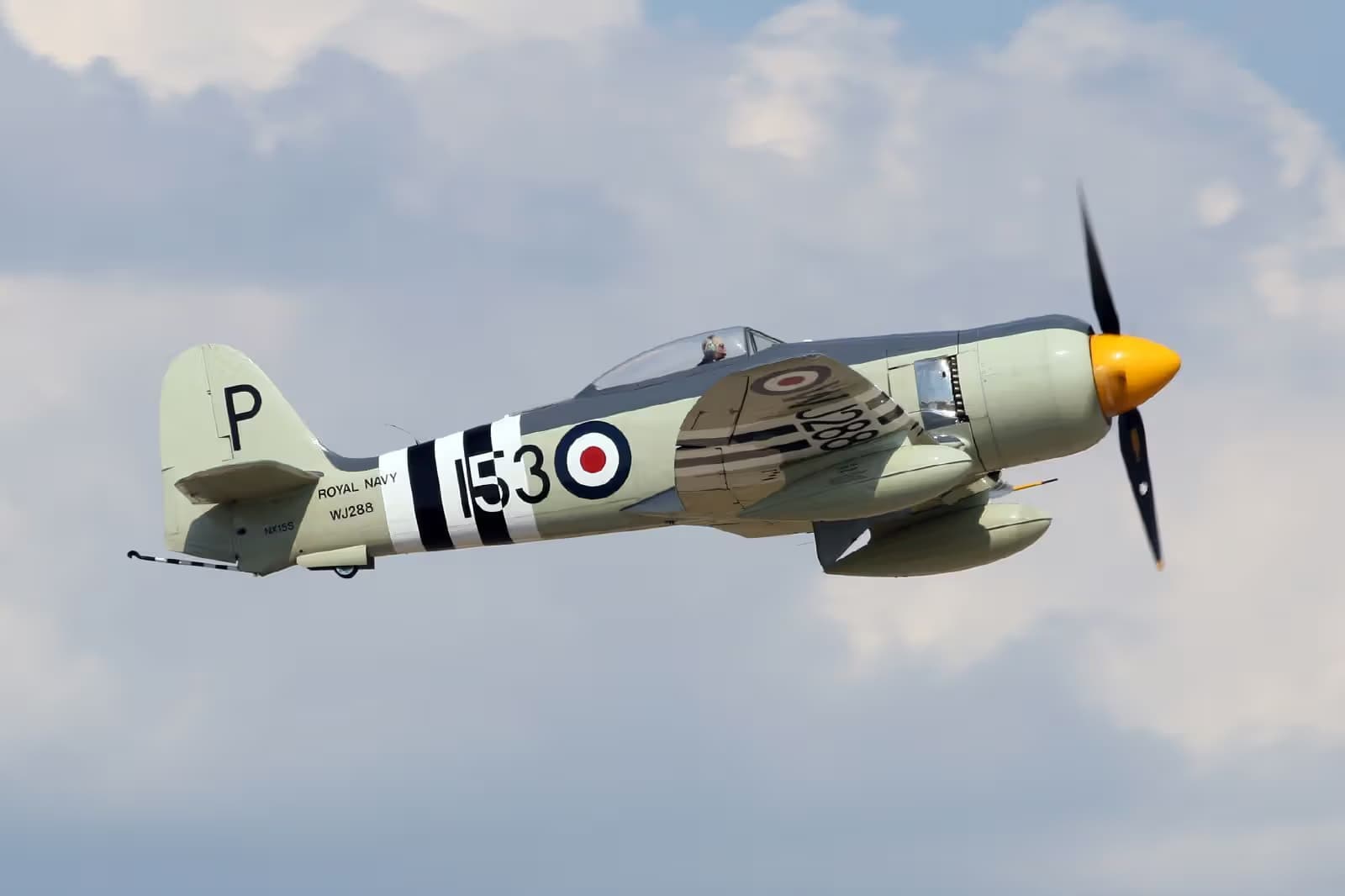 Unidentified — Warbird