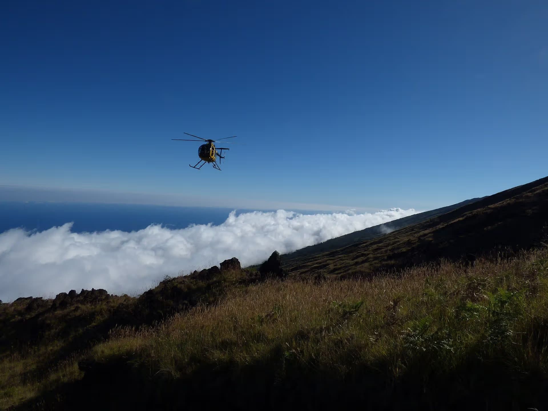 N58251 — Helicopter