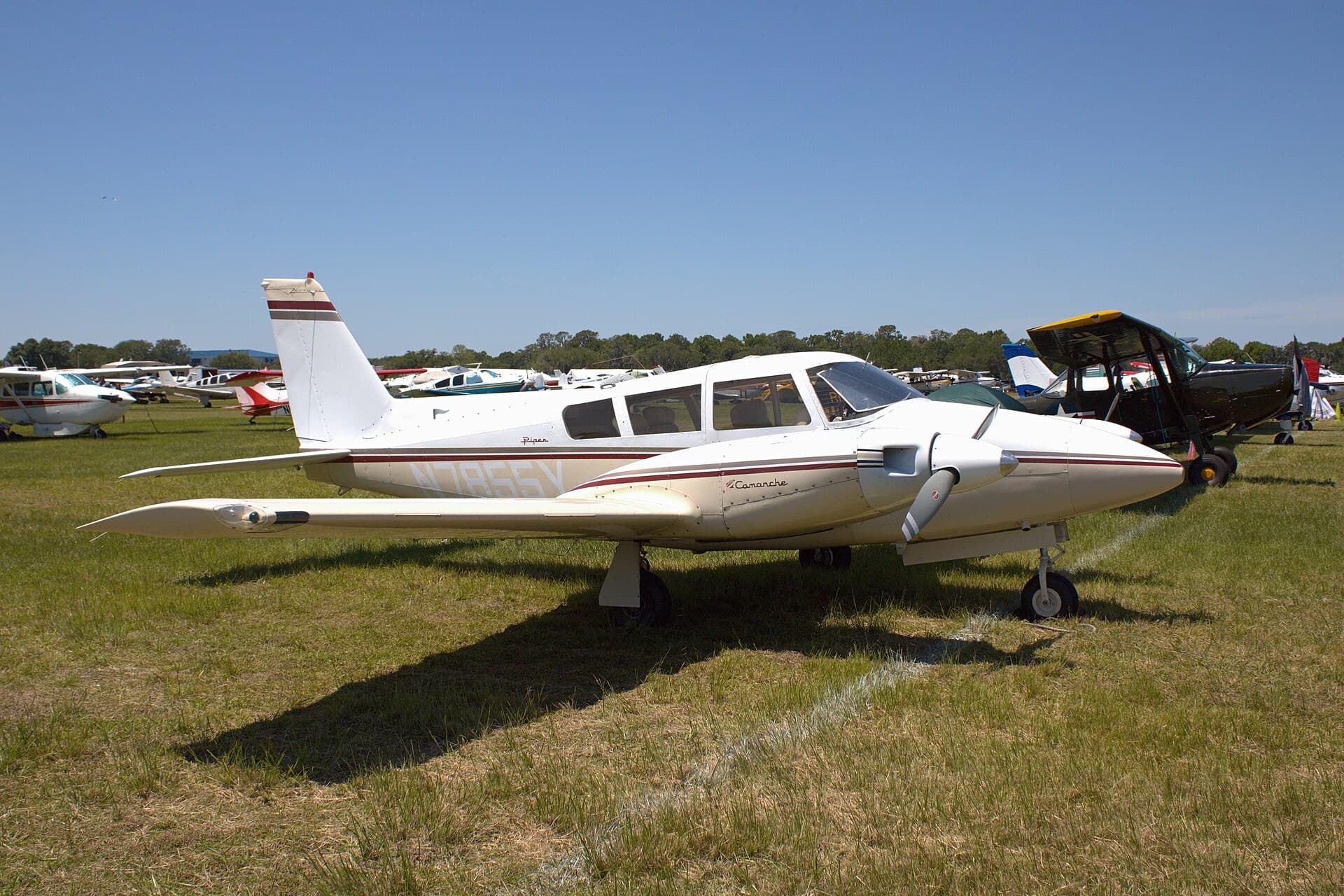 N7855Y — Piper
