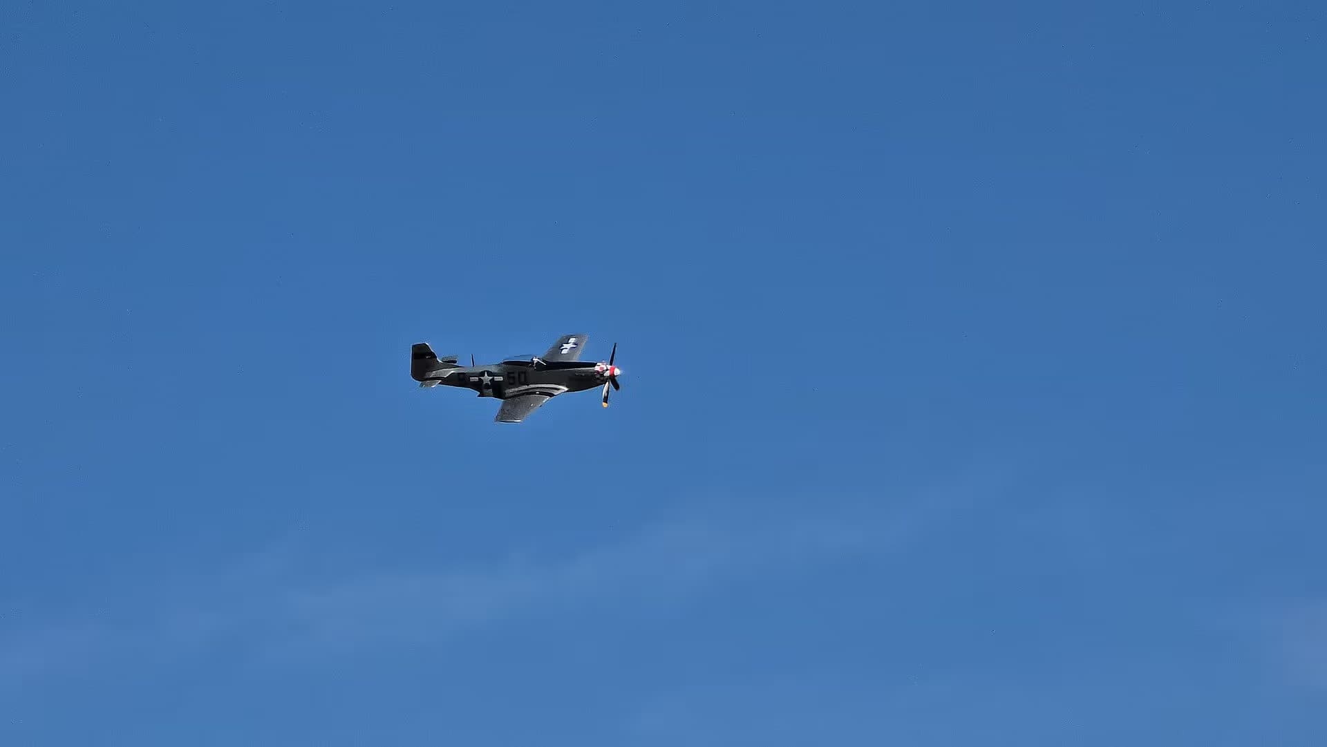 Unidentified — Warbird