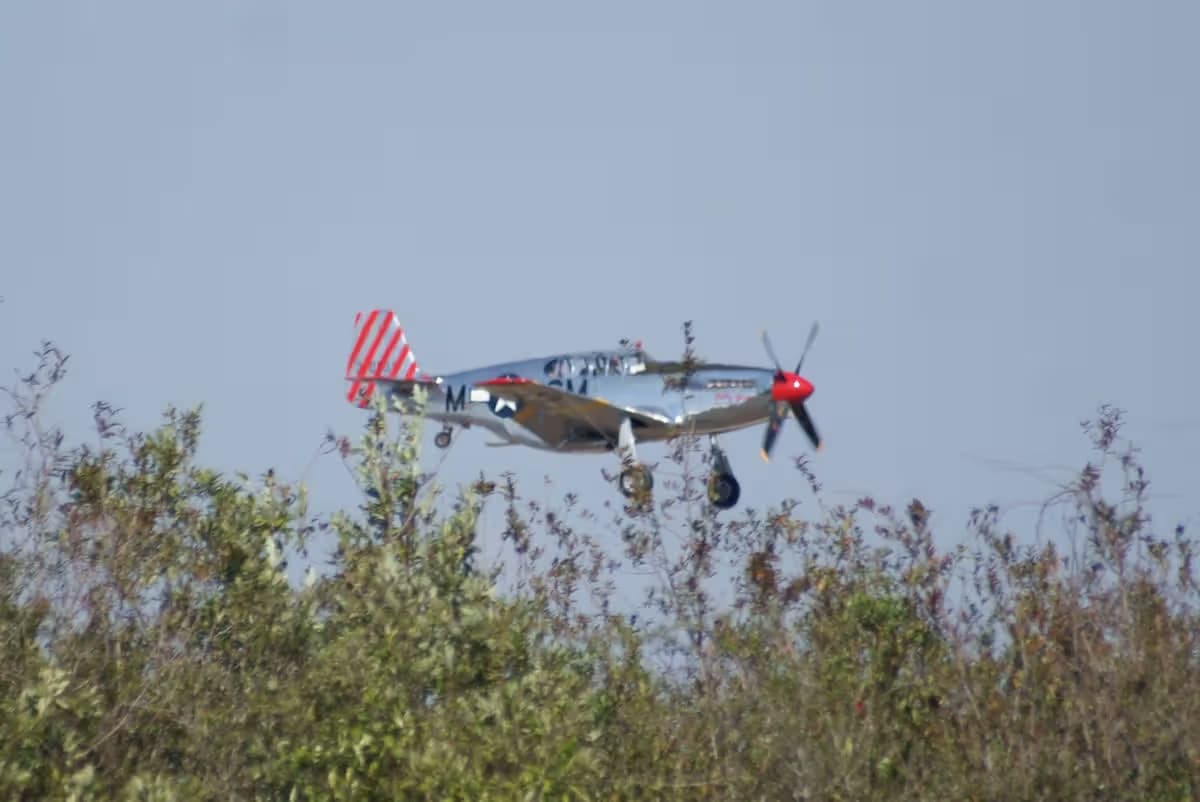N251MX — Warbird