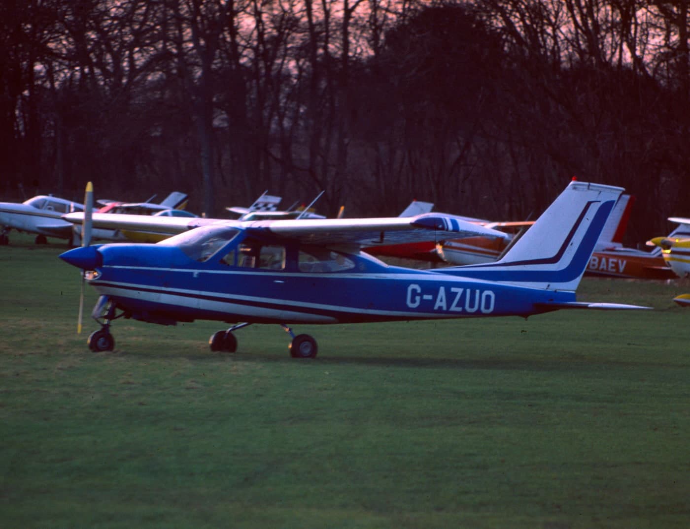 G-AZUO — Single-engine aircraft