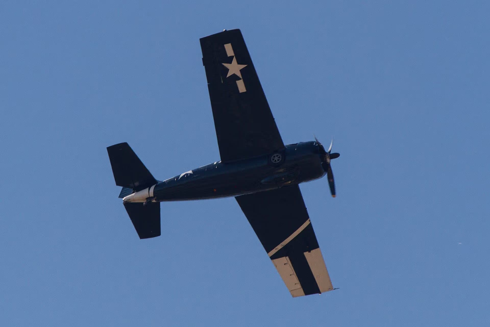 Unidentified — Warbird