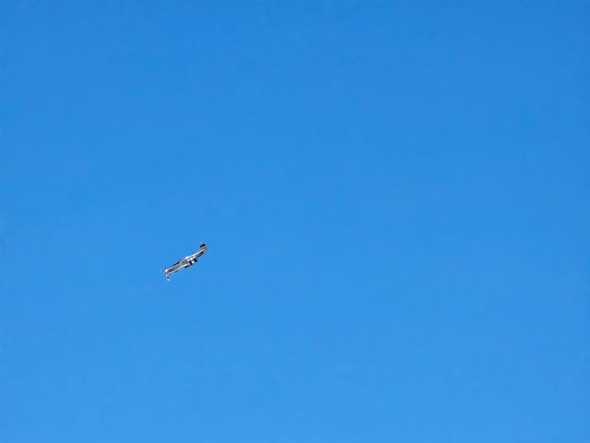 Unidentified — Warbird