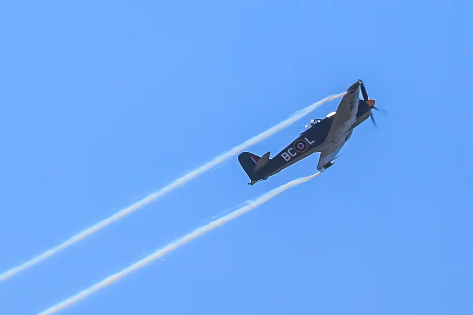 Unidentified — Warbird