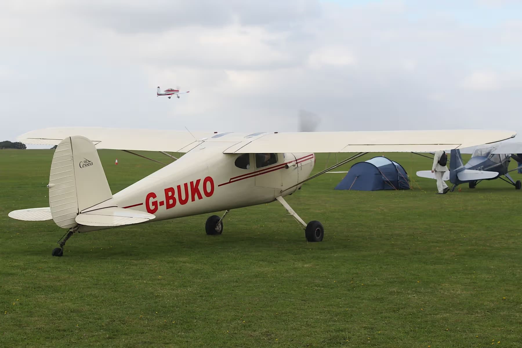 G-BUKO — Cessna