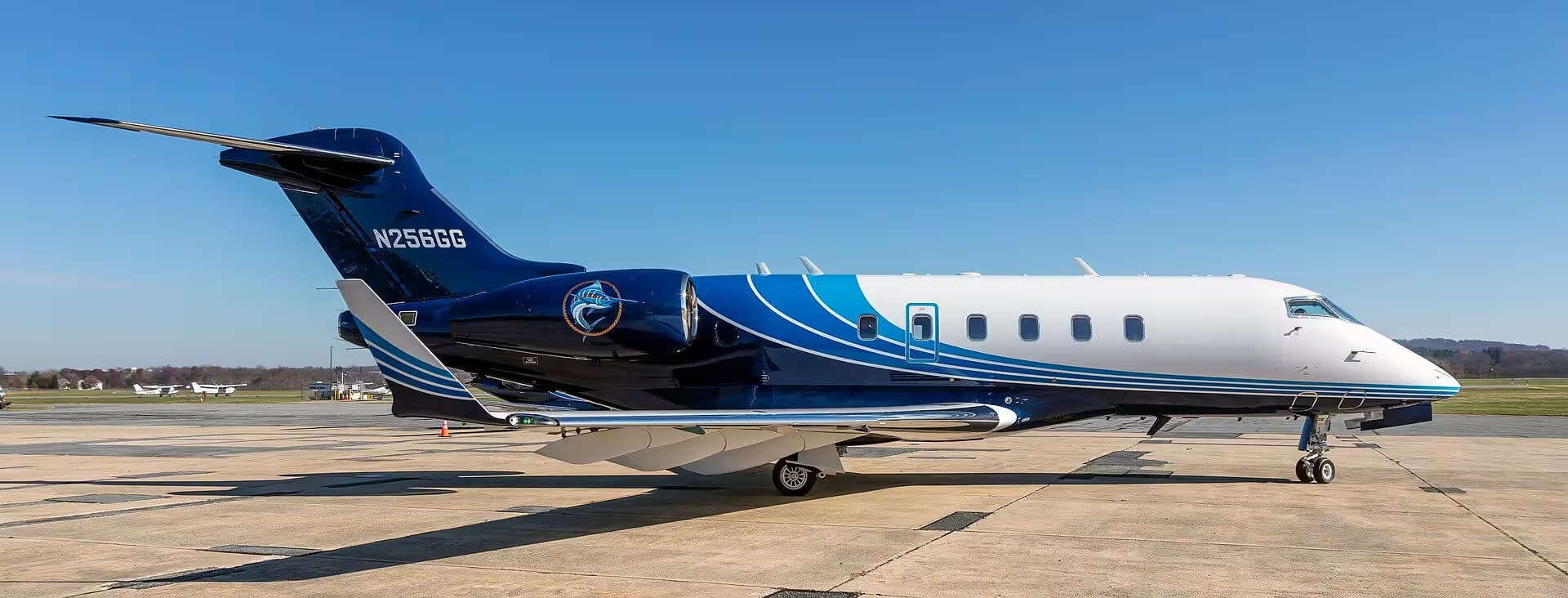N256GG — Business jet