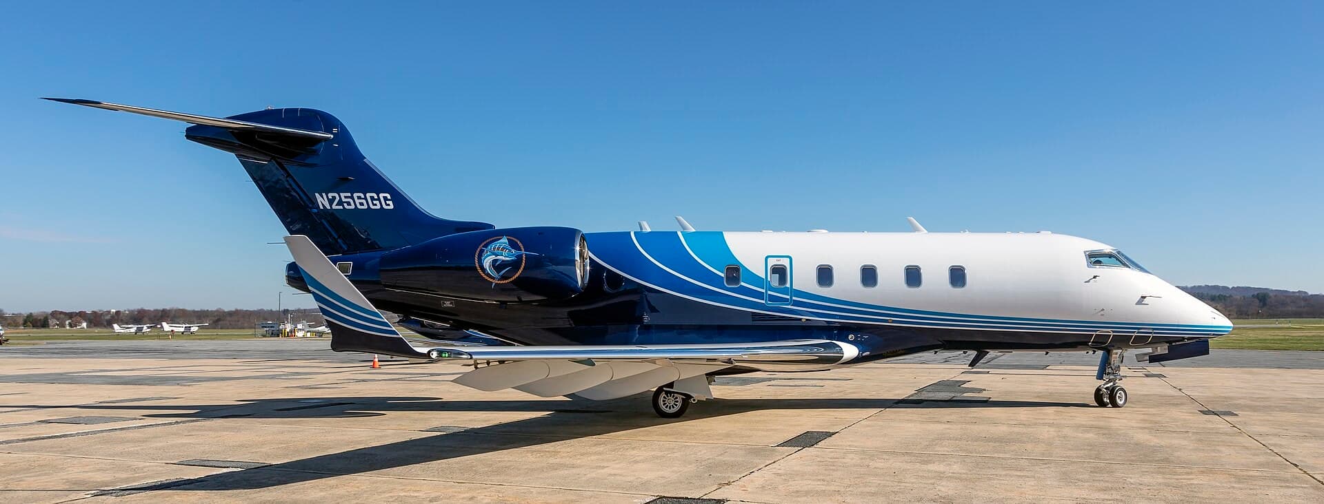 N256GG — Business jet