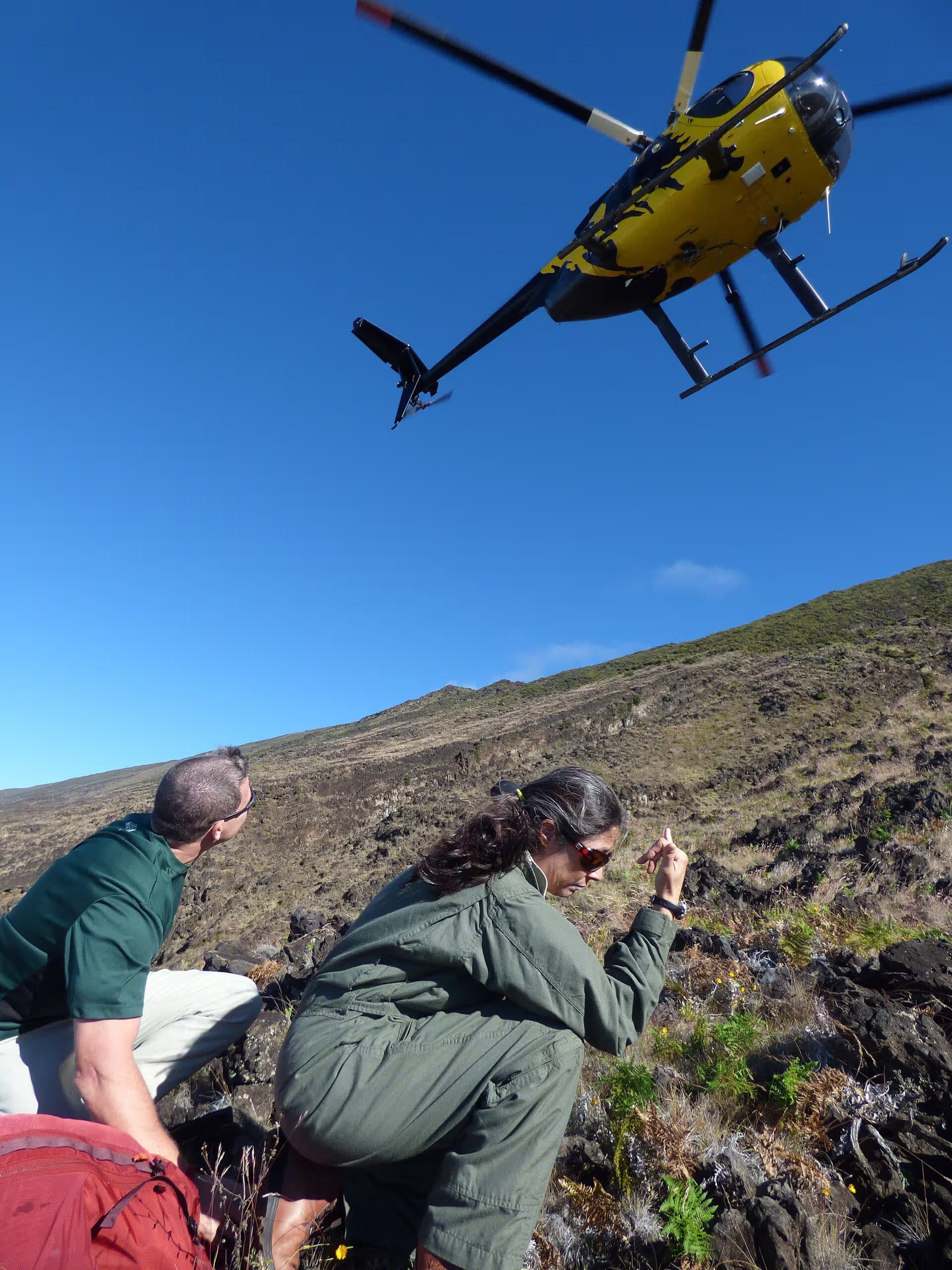 N58251 — Helicopter