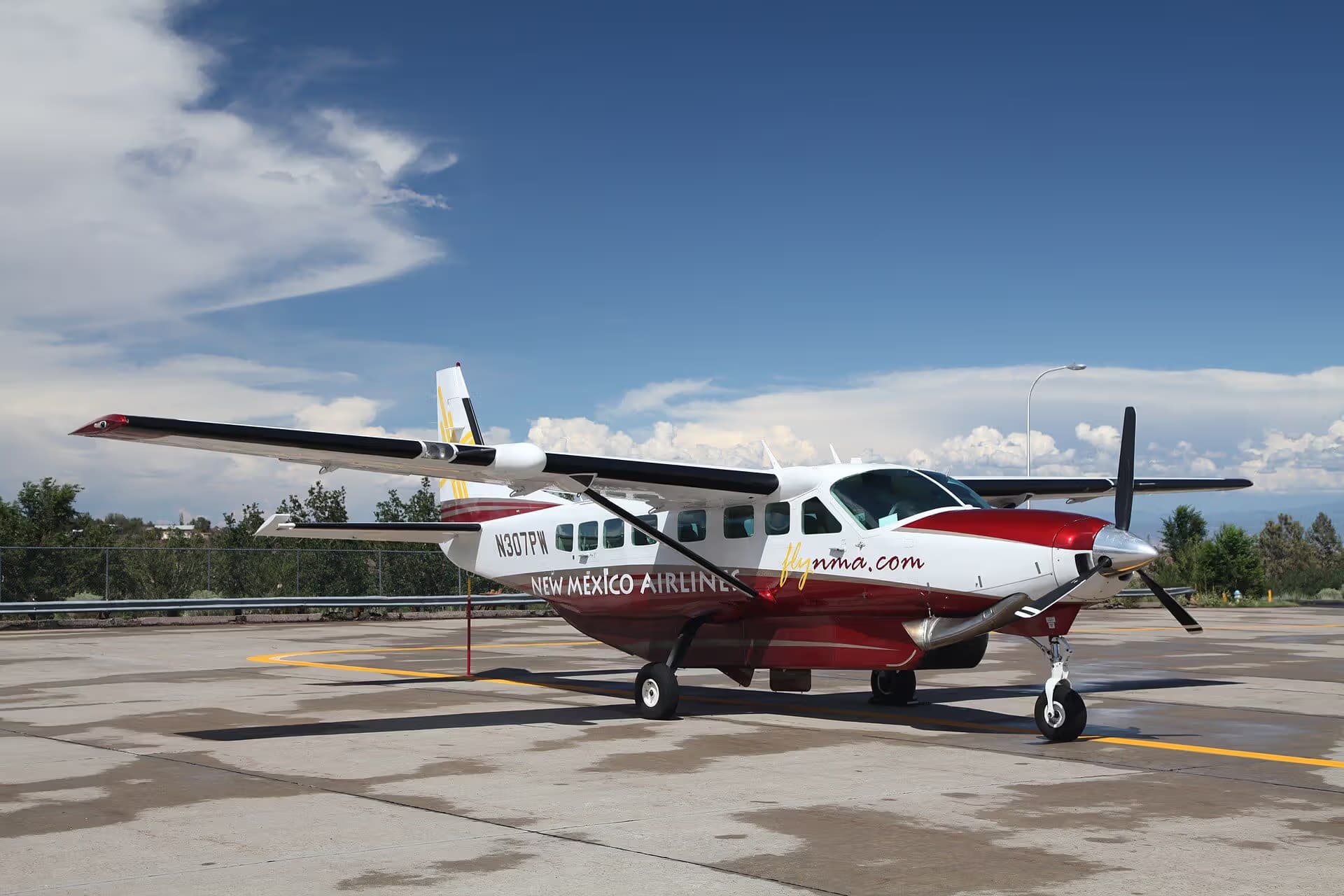 N307PW — Cessna