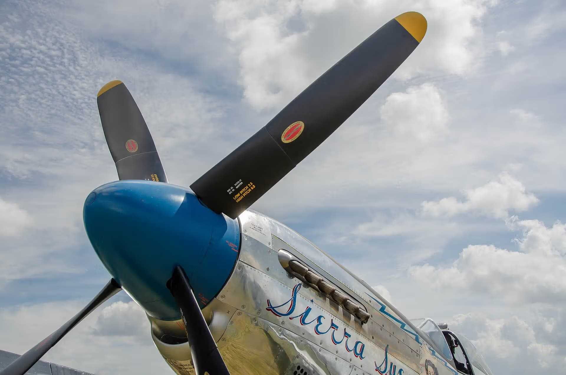 N1751D — Warbird