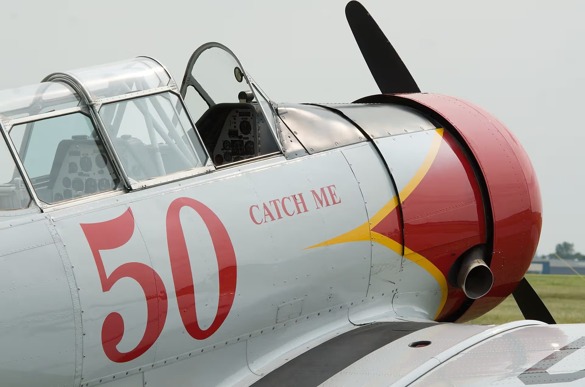 N8539L — Warbird
