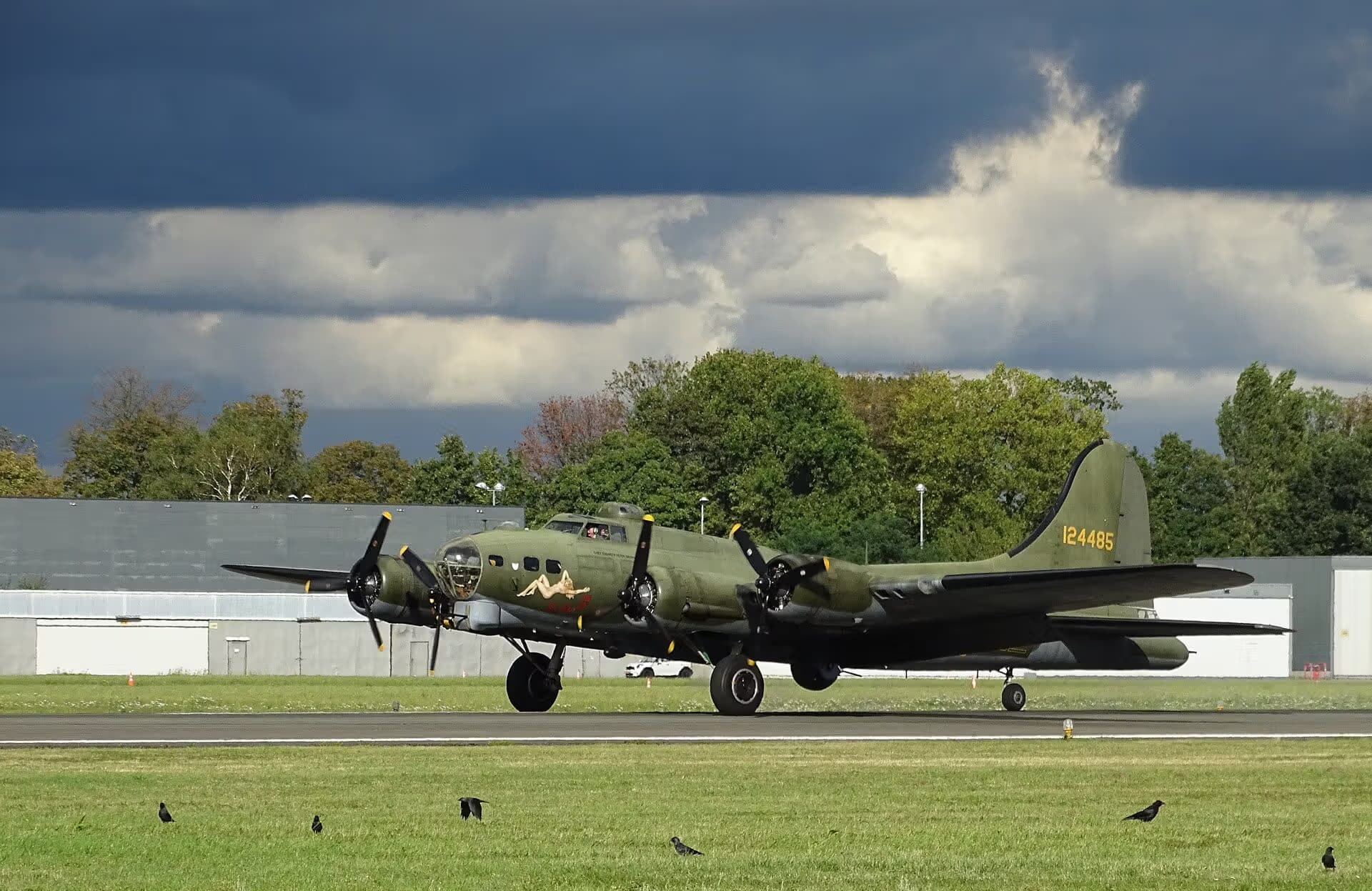 Unidentified — Warbird