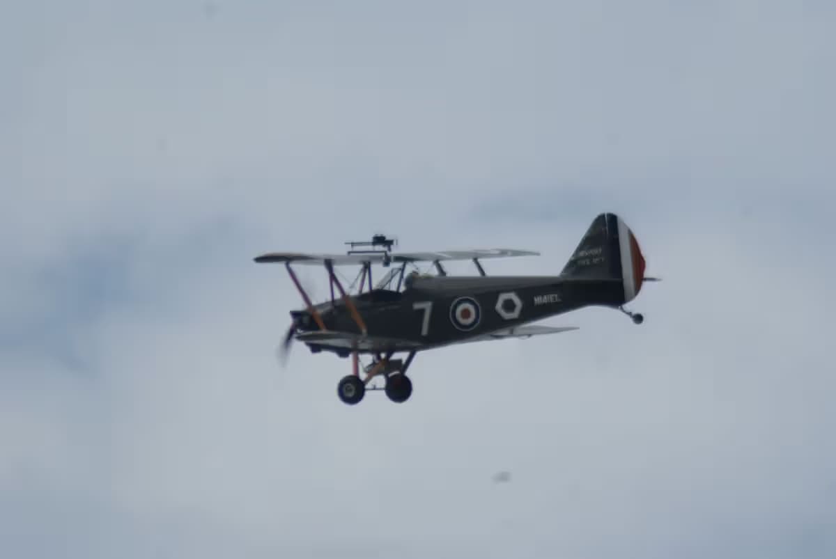 N141EL — Single-engine aircraft