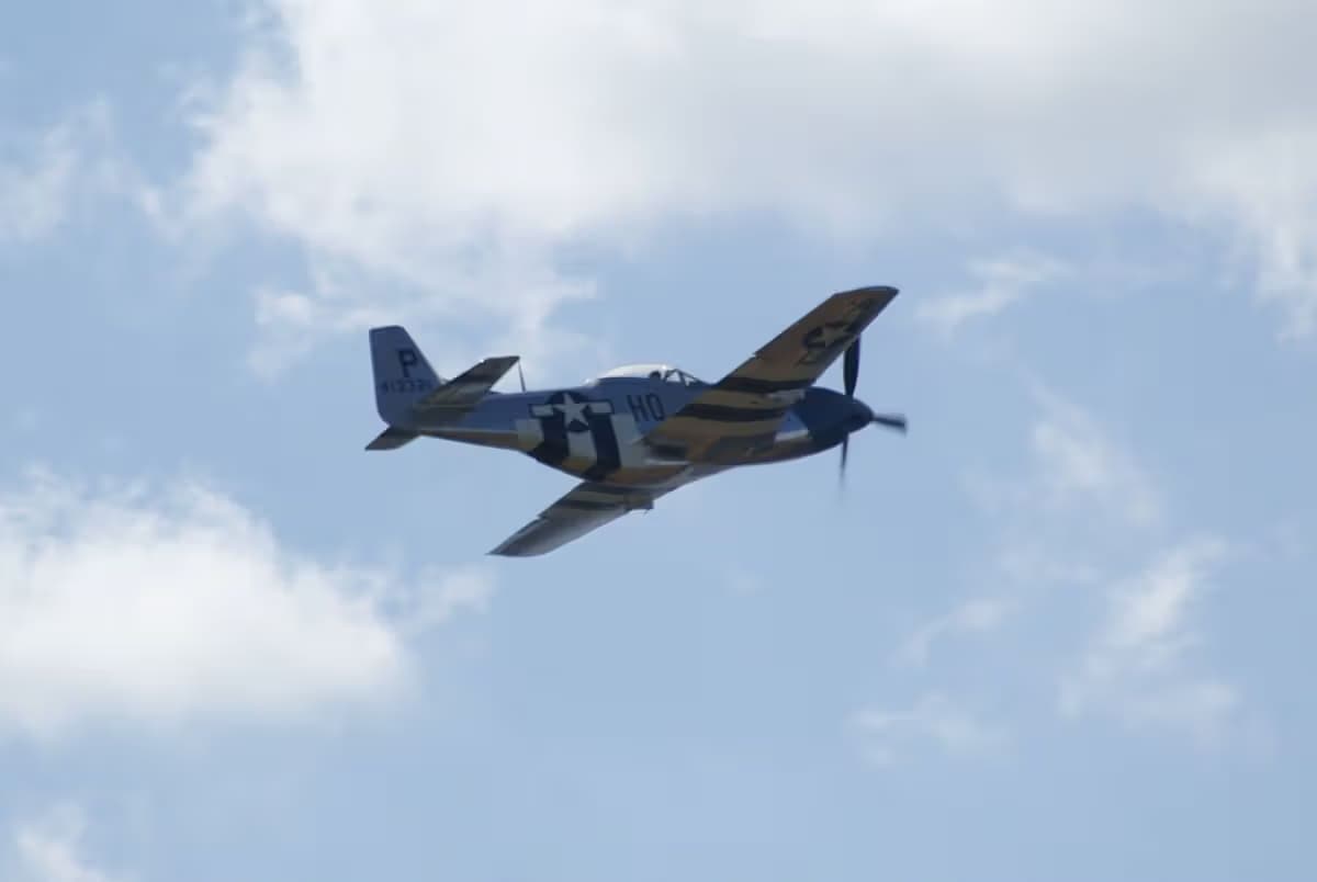 Unidentified — Warbird
