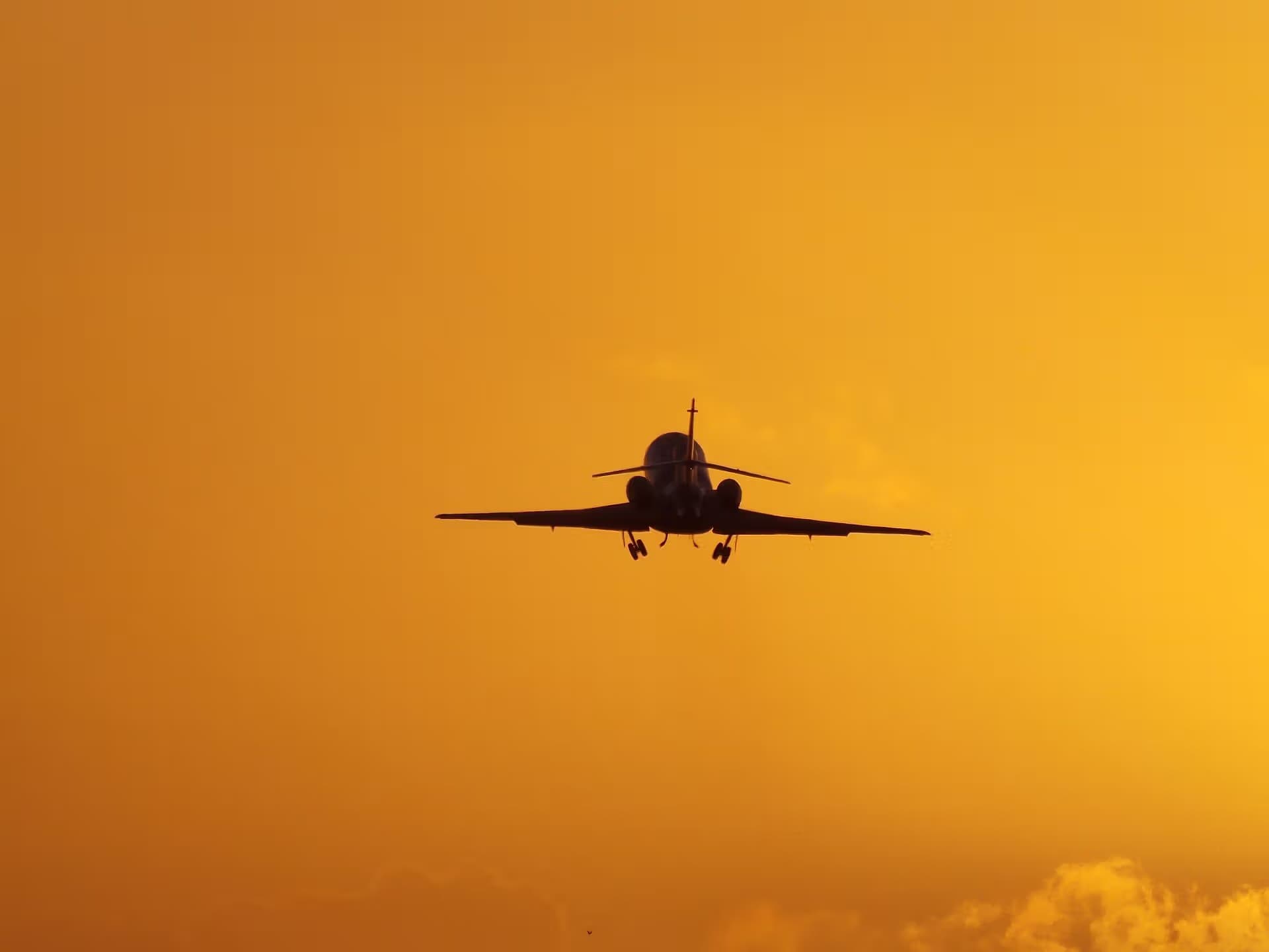N239AX — Business jet