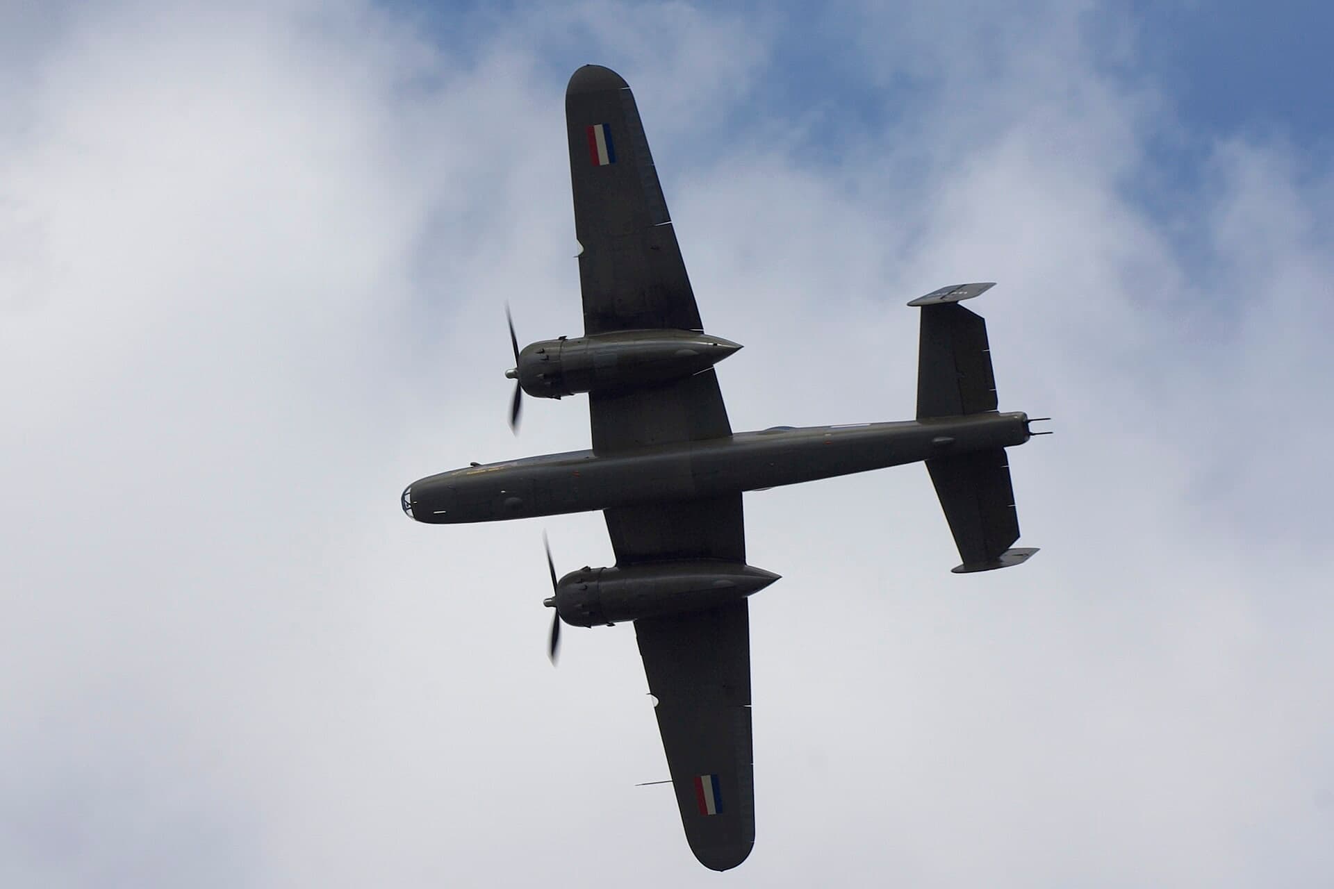 N5 — Warbird