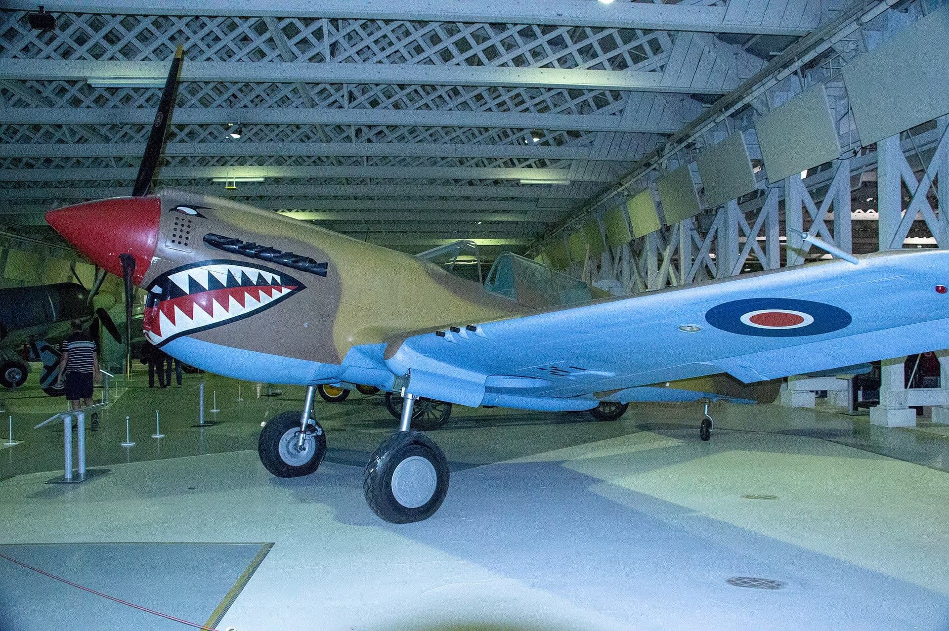 Unidentified — Warbird