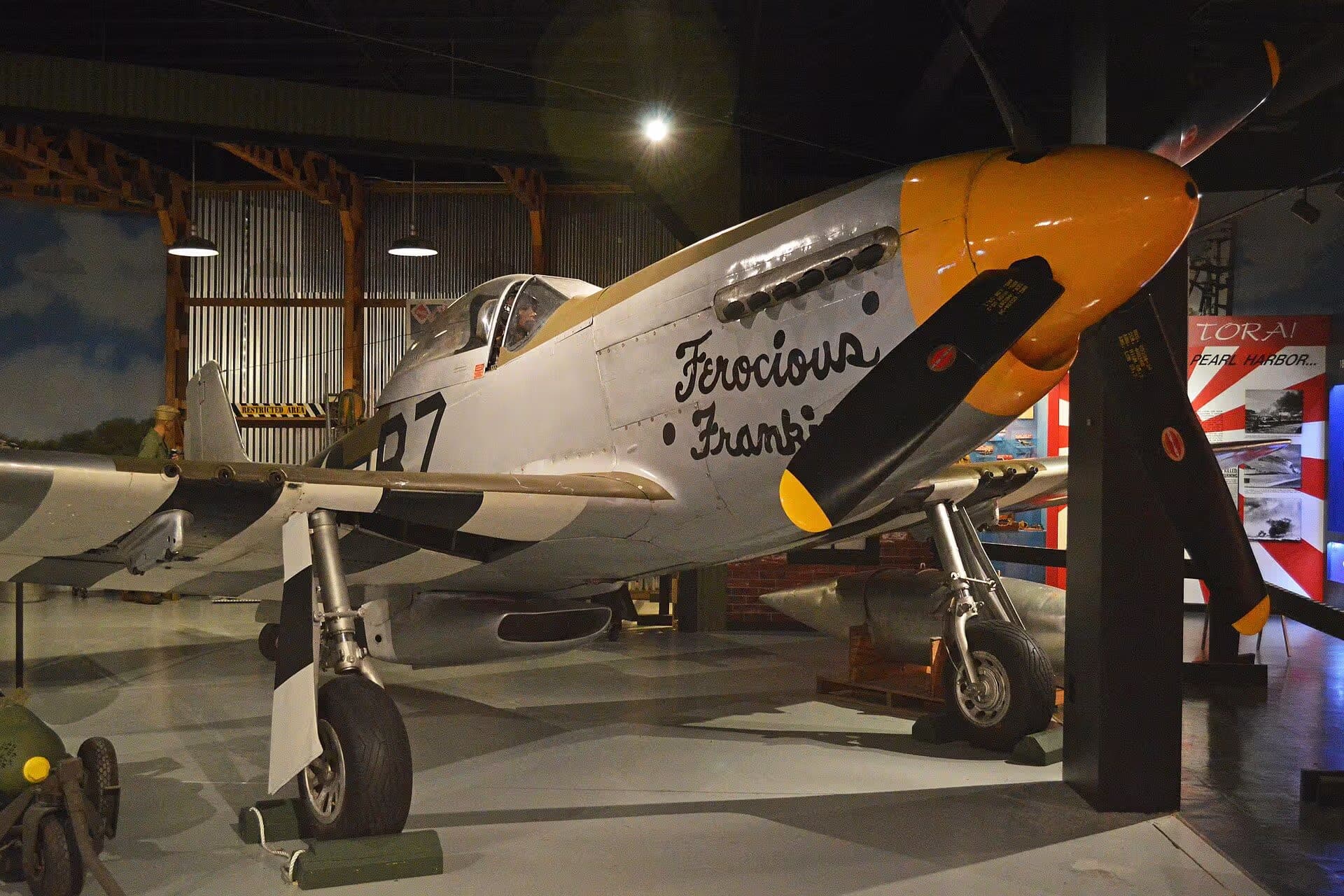 Unidentified — Warbird