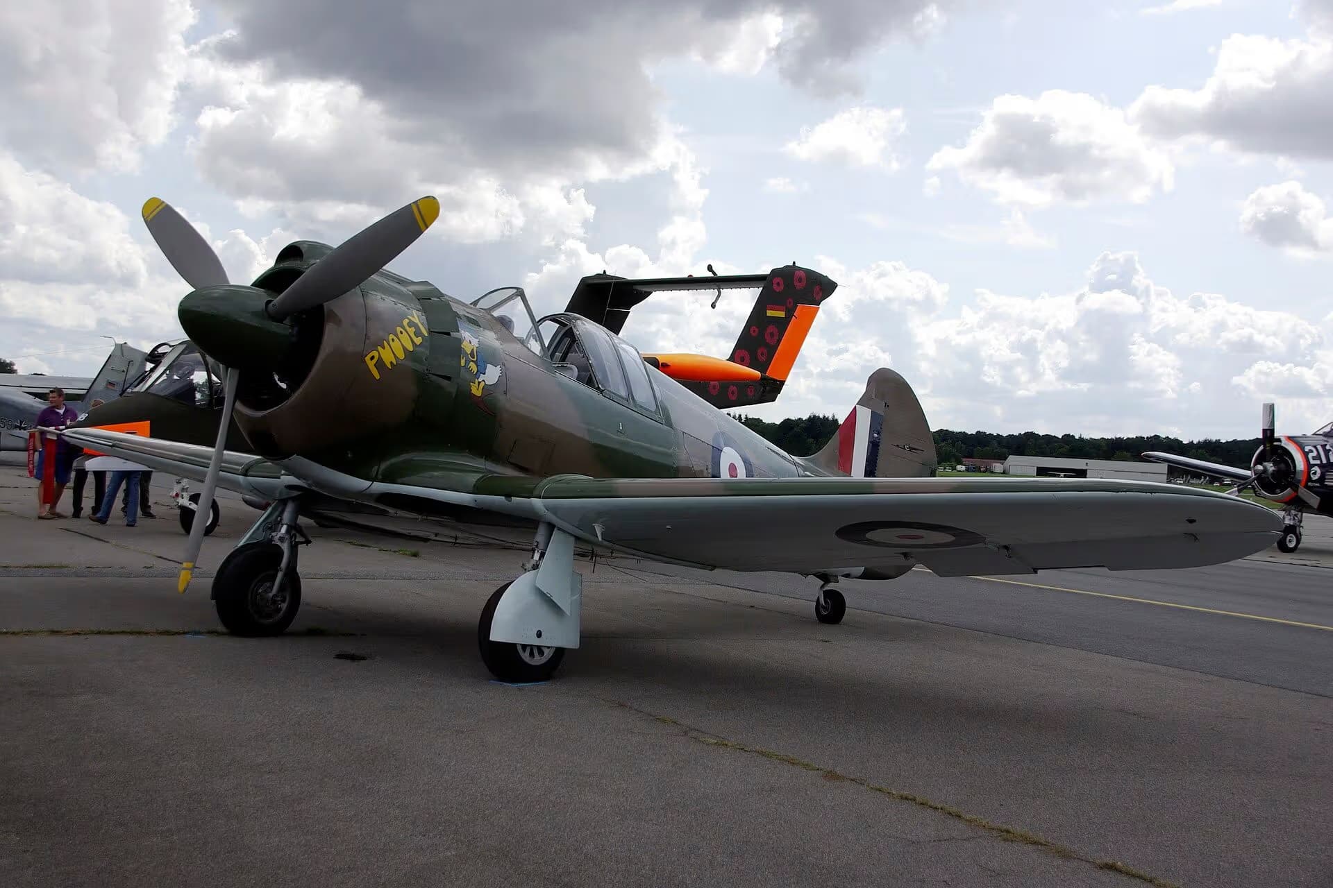Unidentified — Warbird