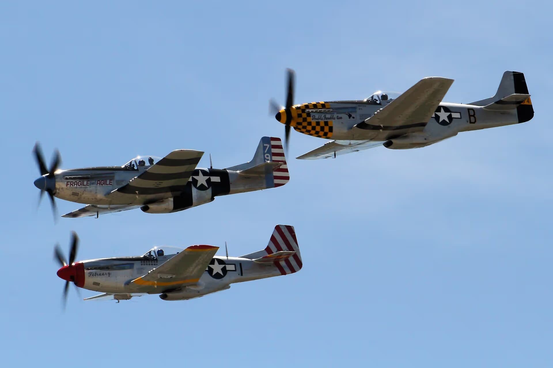 Unidentified — Warbird