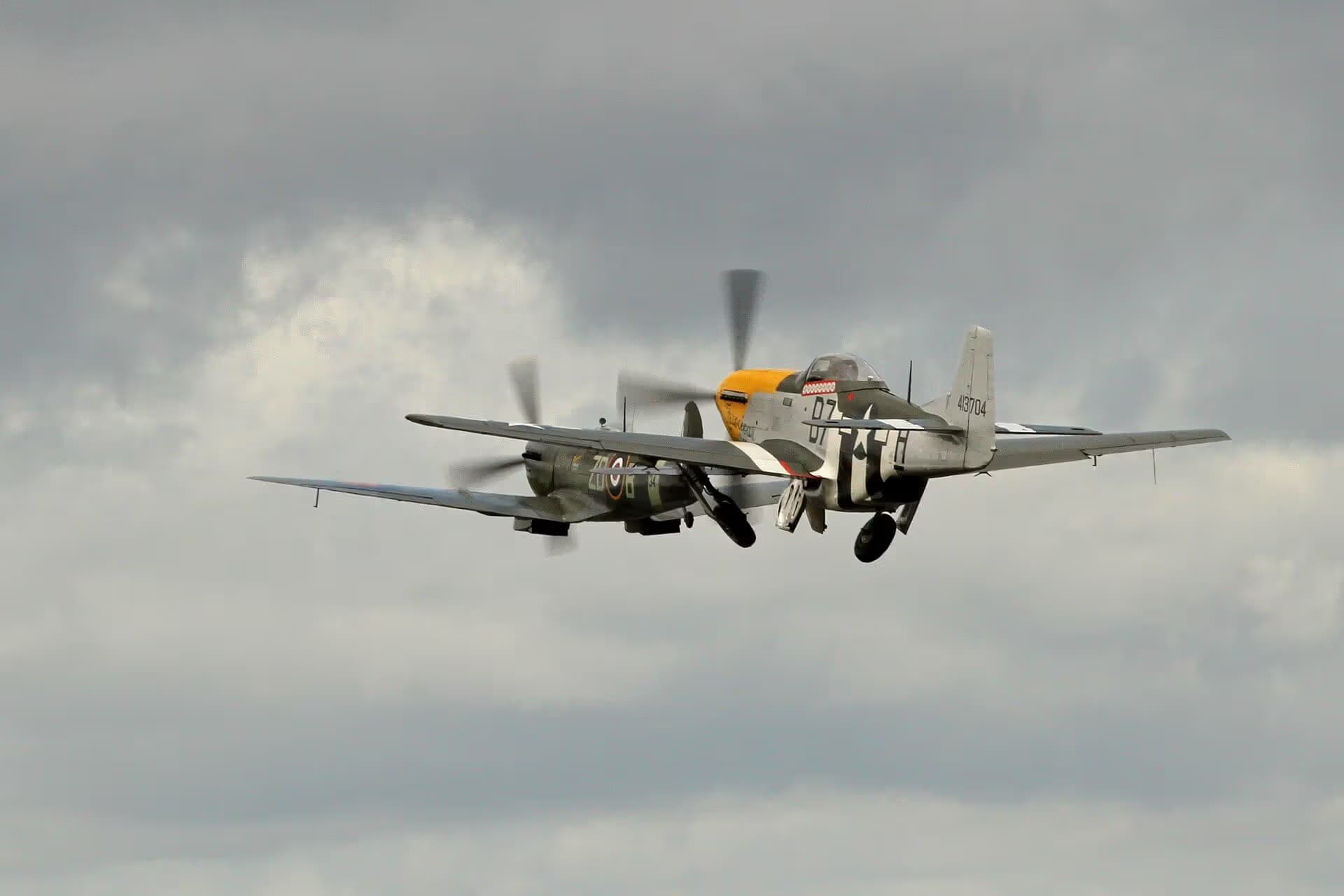 Unidentified — Warbird