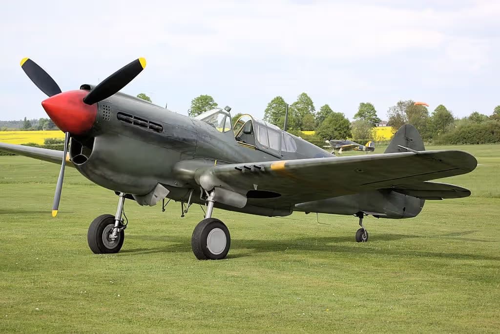Unidentified — Warbird