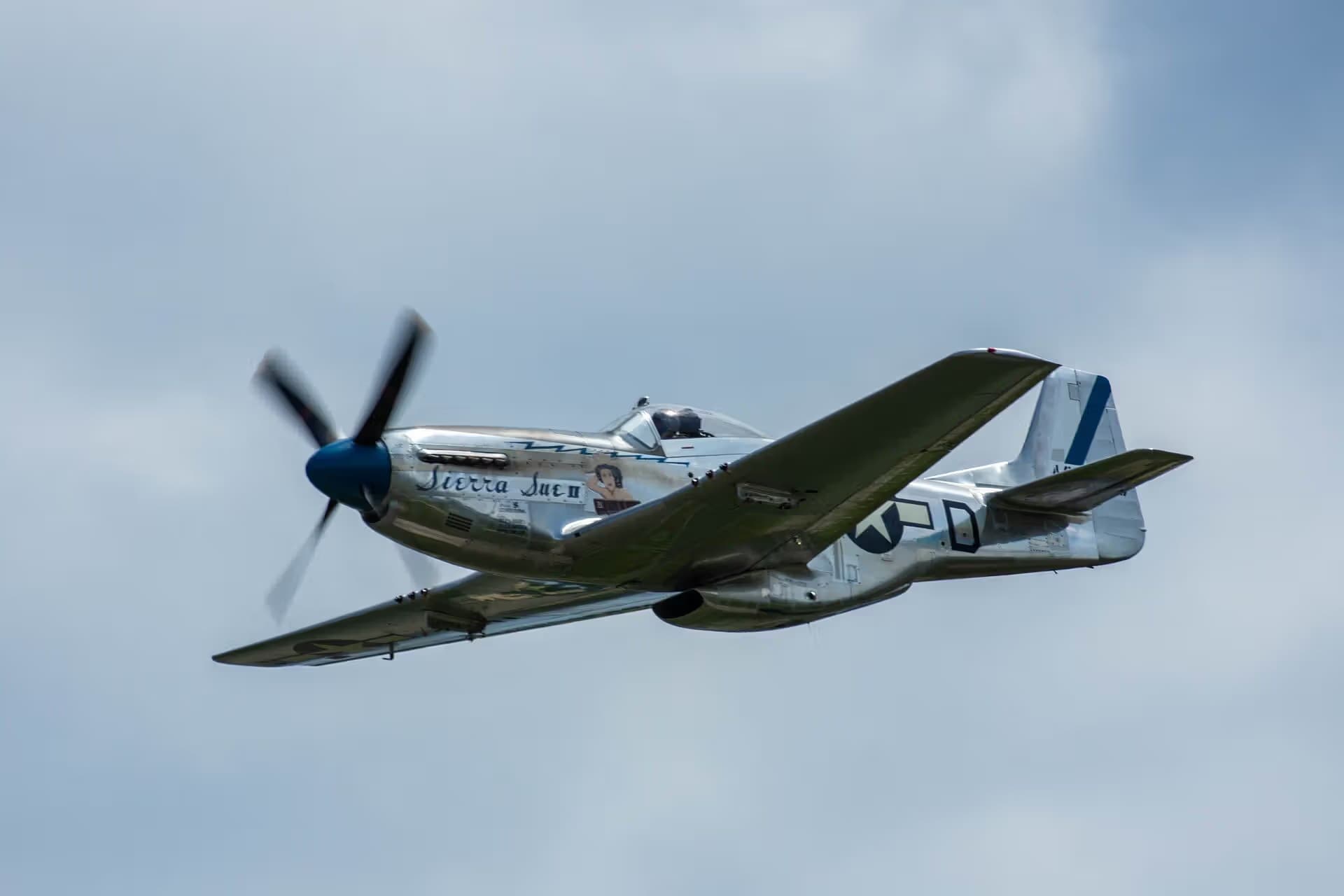 N1751D — Single-engine aircraft