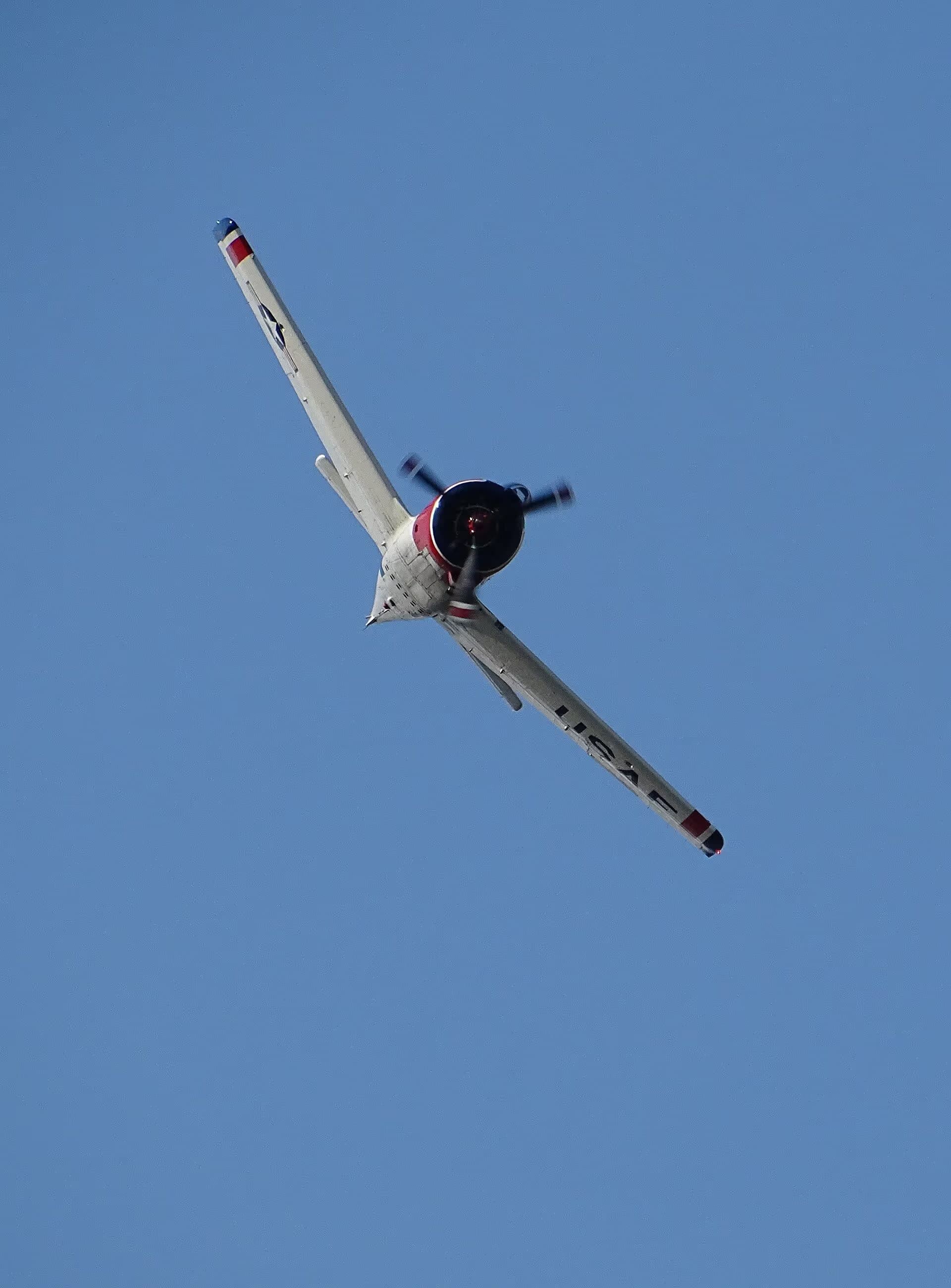 N1328B — Warbird