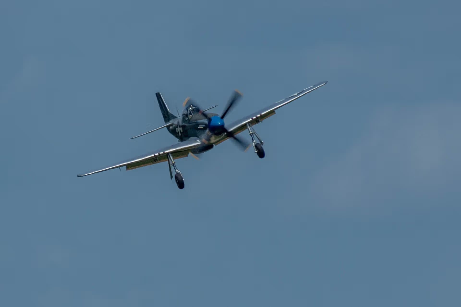 N1751D — Single-engine aircraft