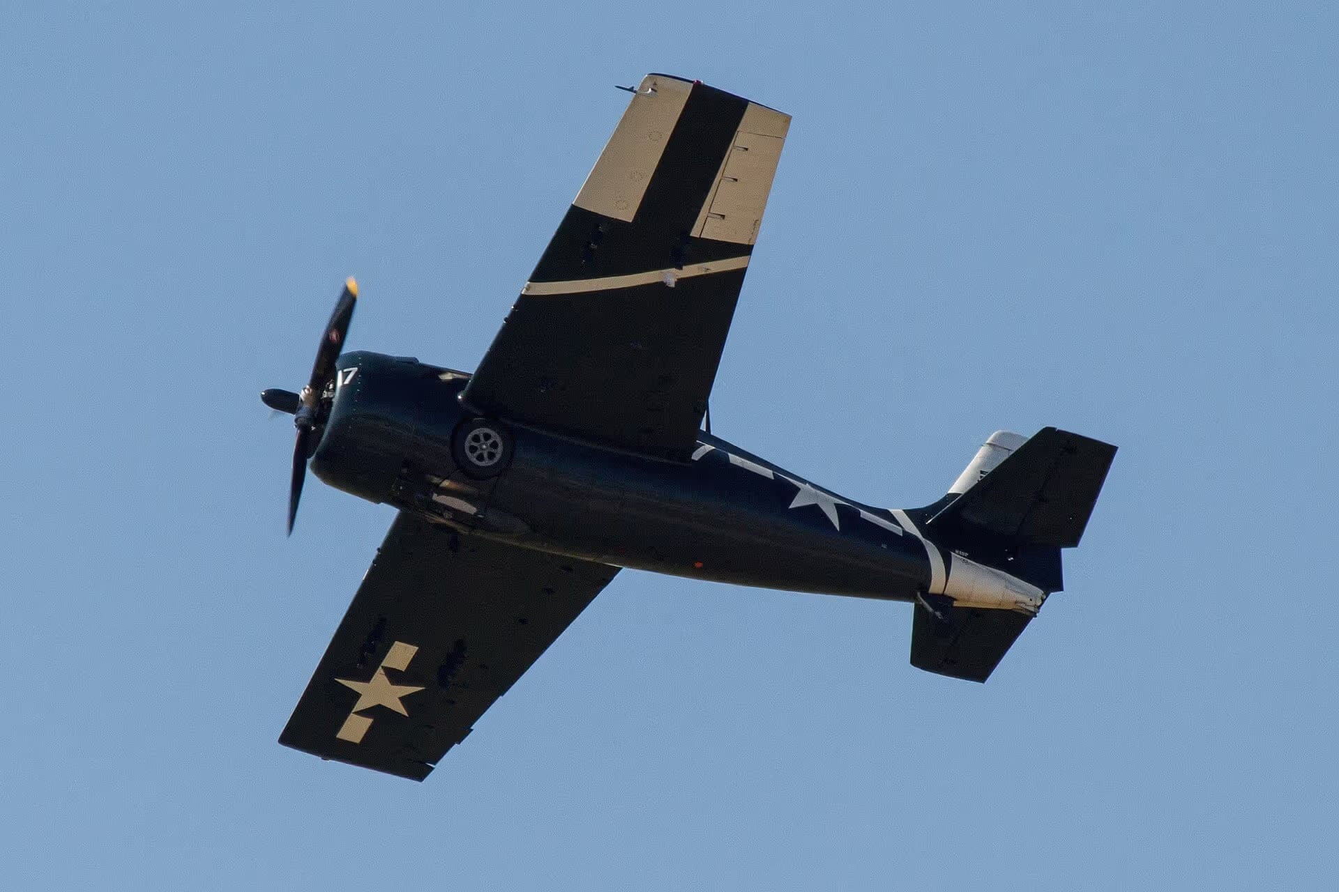 Unidentified — Warbird