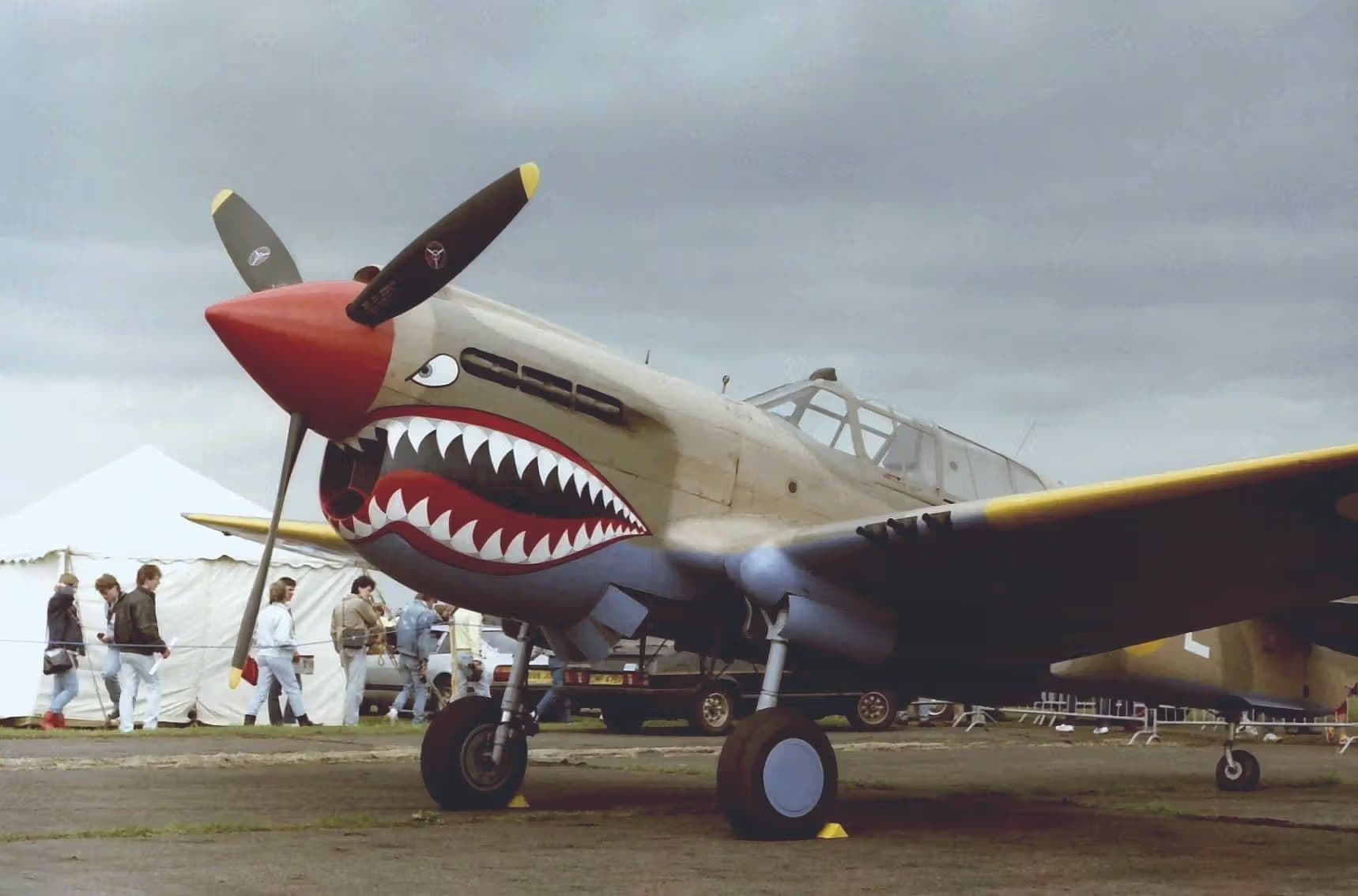 N94466 — Warbird