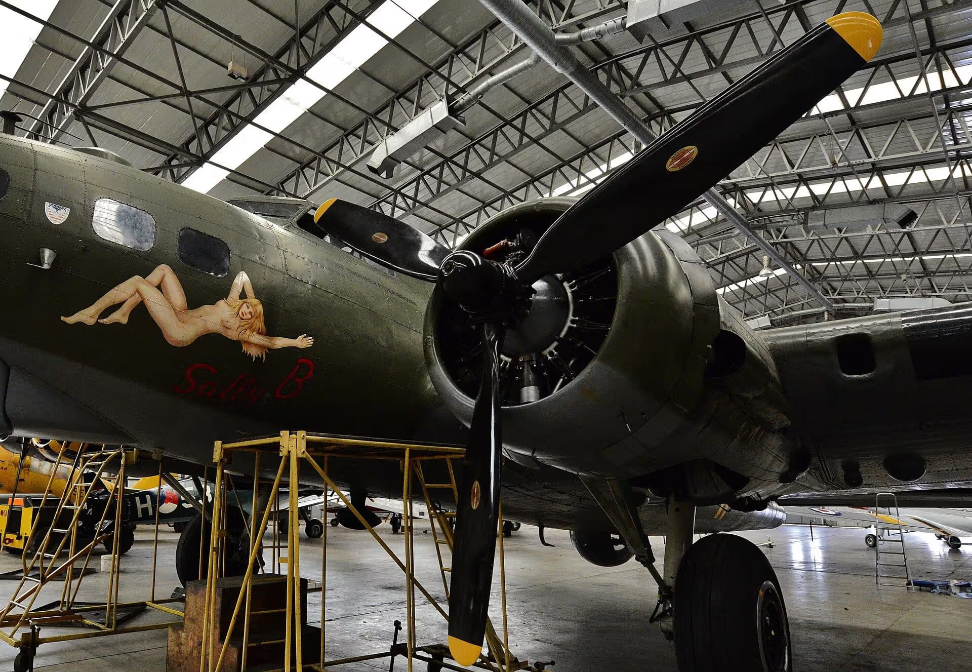 Unidentified — Warbird
